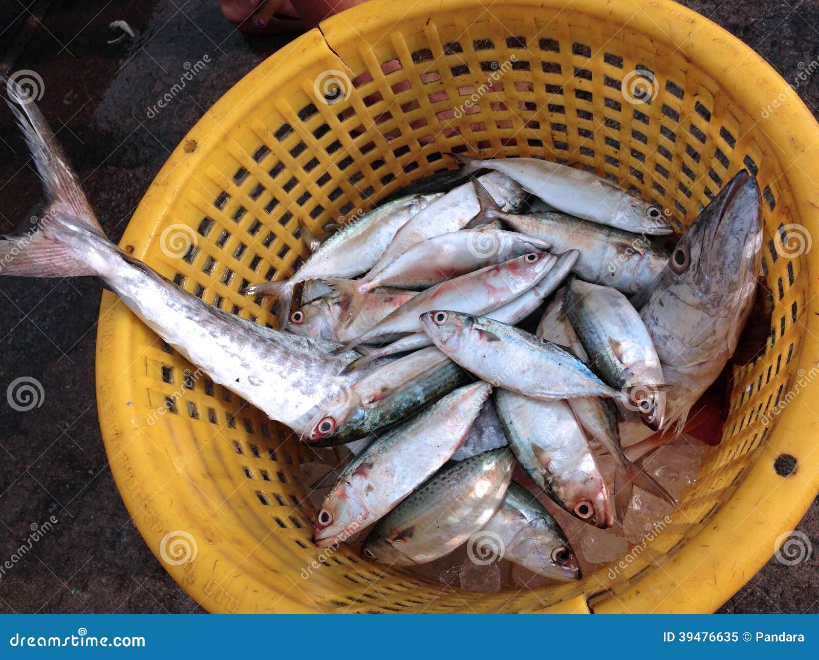 Basket of Fish , Seafood Ingredient Stock Image Image of health
