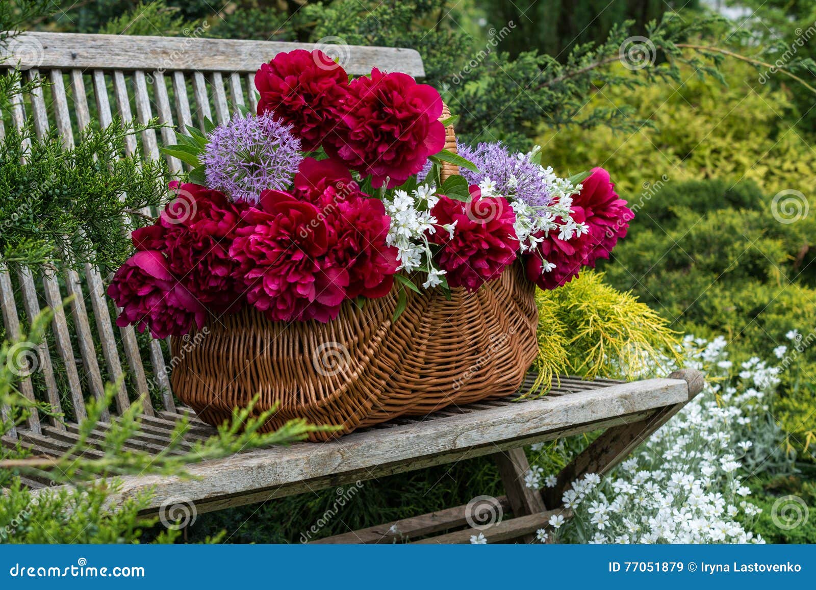 Basket with flowers. stock image. Image of basket, flowers 77051879