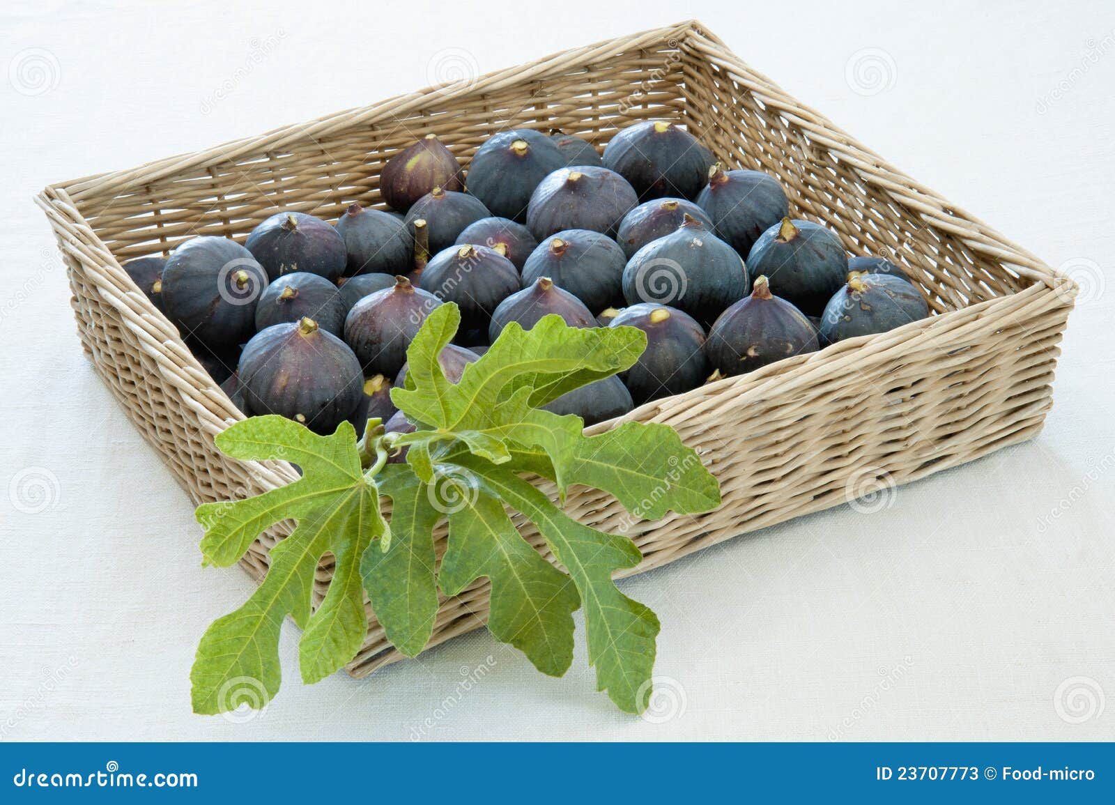 Basket Fresh Figs Stock Photos Royalty Free Stock Images