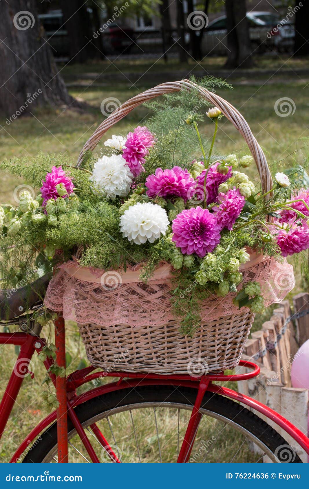 Basket of Fresh Flowers on the Bike Stock Photo Image of flowers