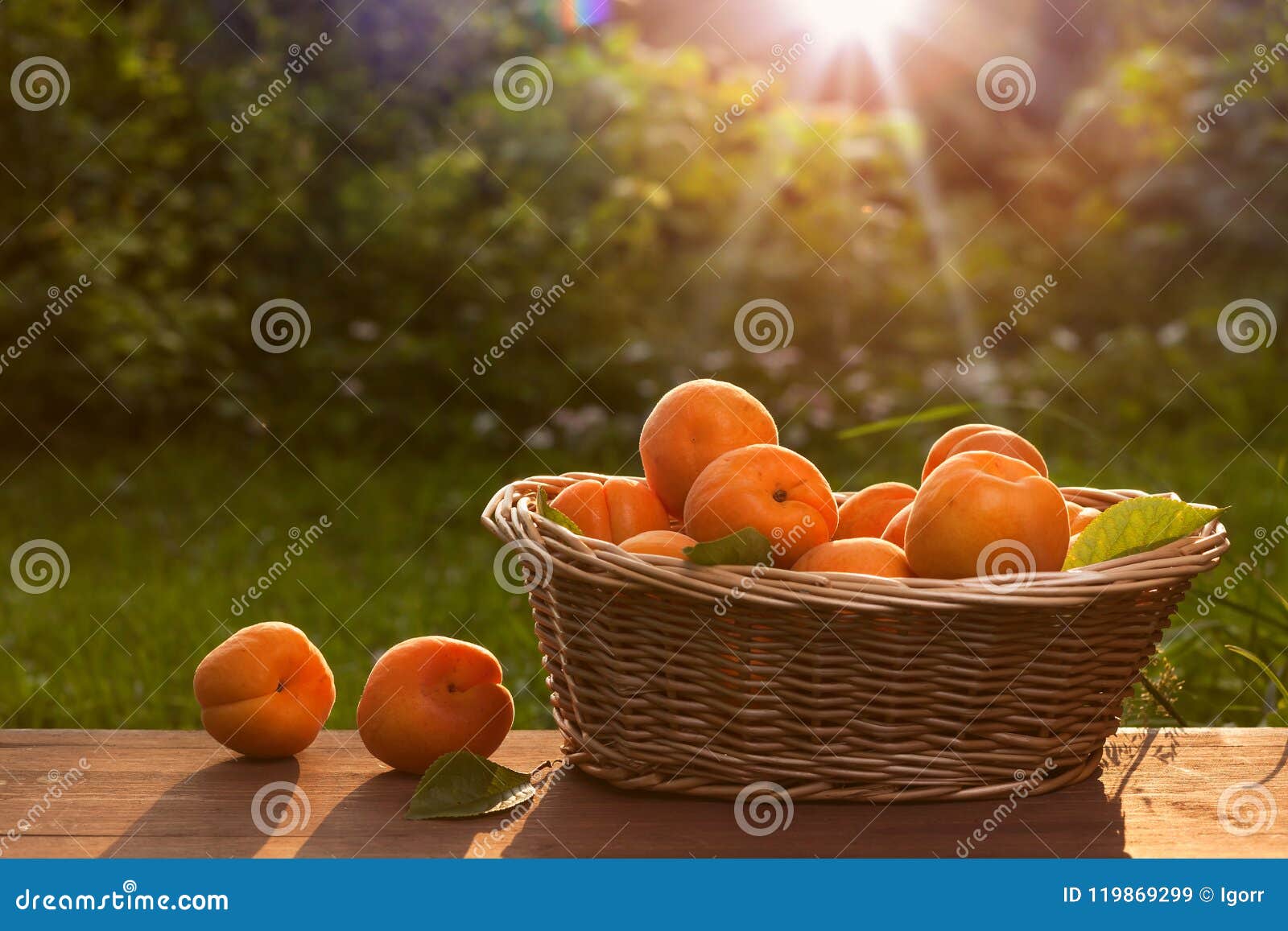 164 Apricots Sunset Stock Photos - Free &amp; Royalty-Free Stock Photos ...