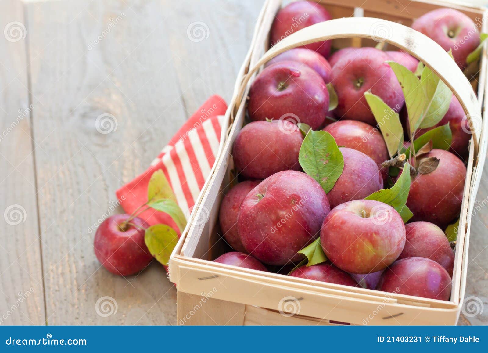 basket of fresh picked apples