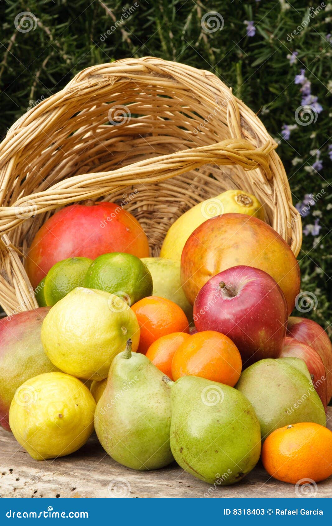 Basket of fruits stock image. Image of color, mandarin 8318403