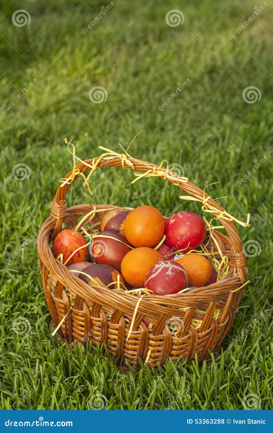 Basket Full of Colorful Red Easter Eggs on the Grass Stock Photo