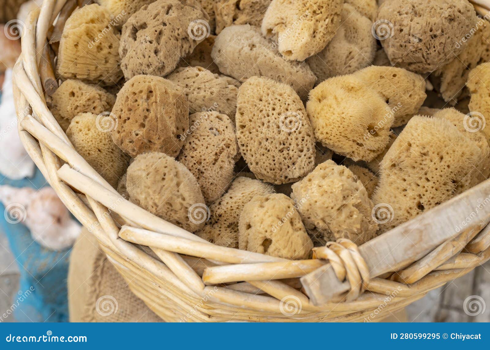 6,120 Natural Sea Sponge Stock Photos - Free & Royalty-Free Stock Photos  from Dreamstime