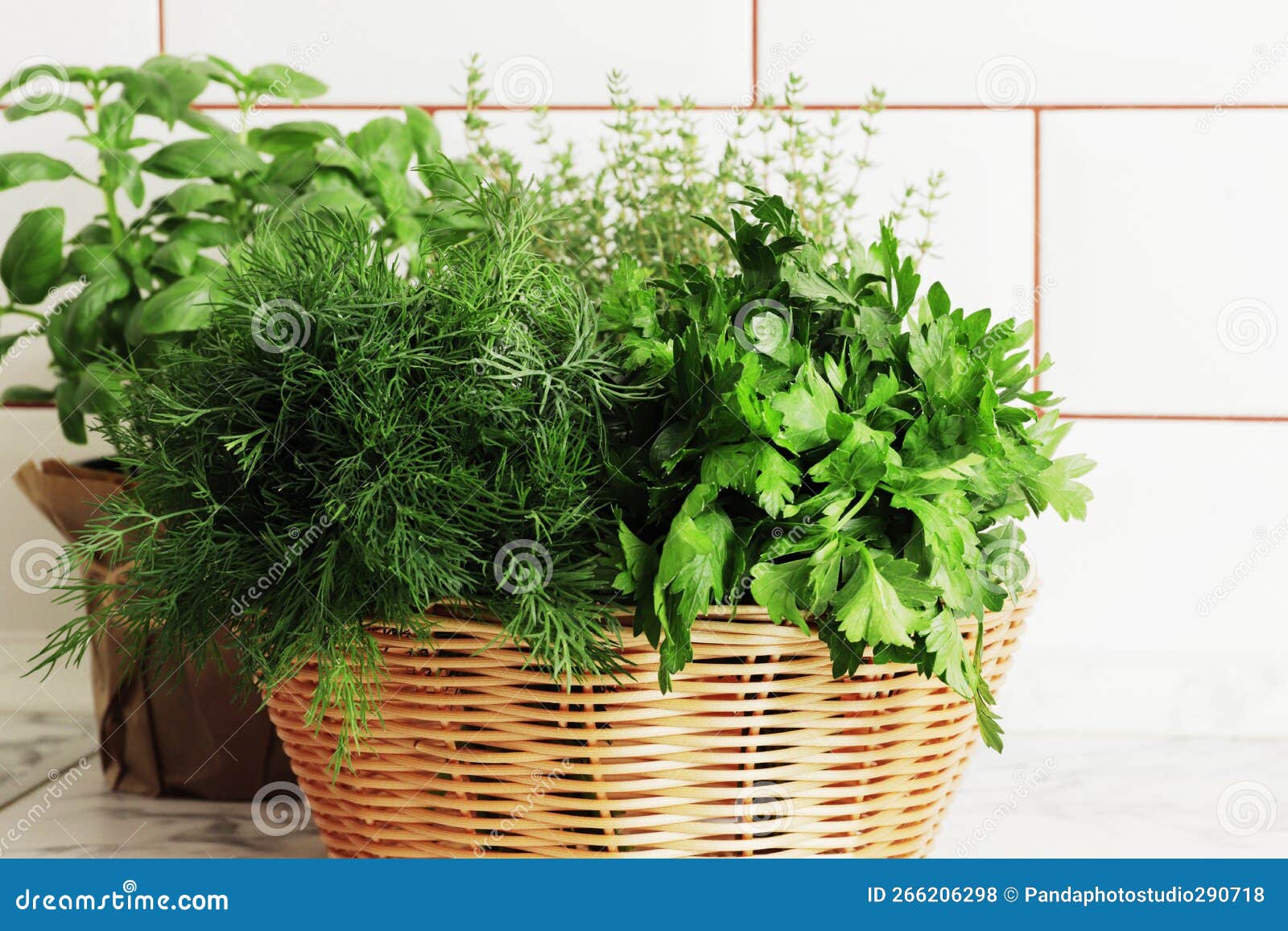 A Basket Full of Fresh Herbs on the Kitchen Stock Photo Image of plants, background 266206298