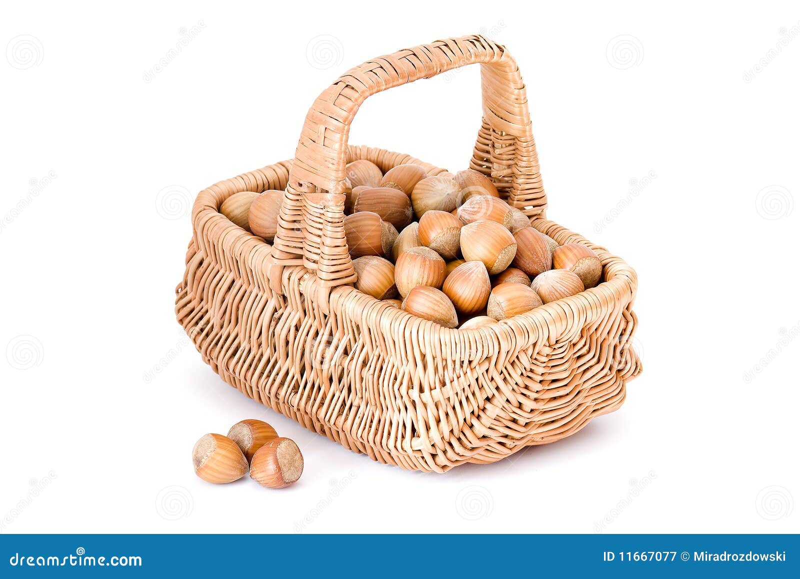 Basket full of hazelnuts stock image. Image of closeup 11667077