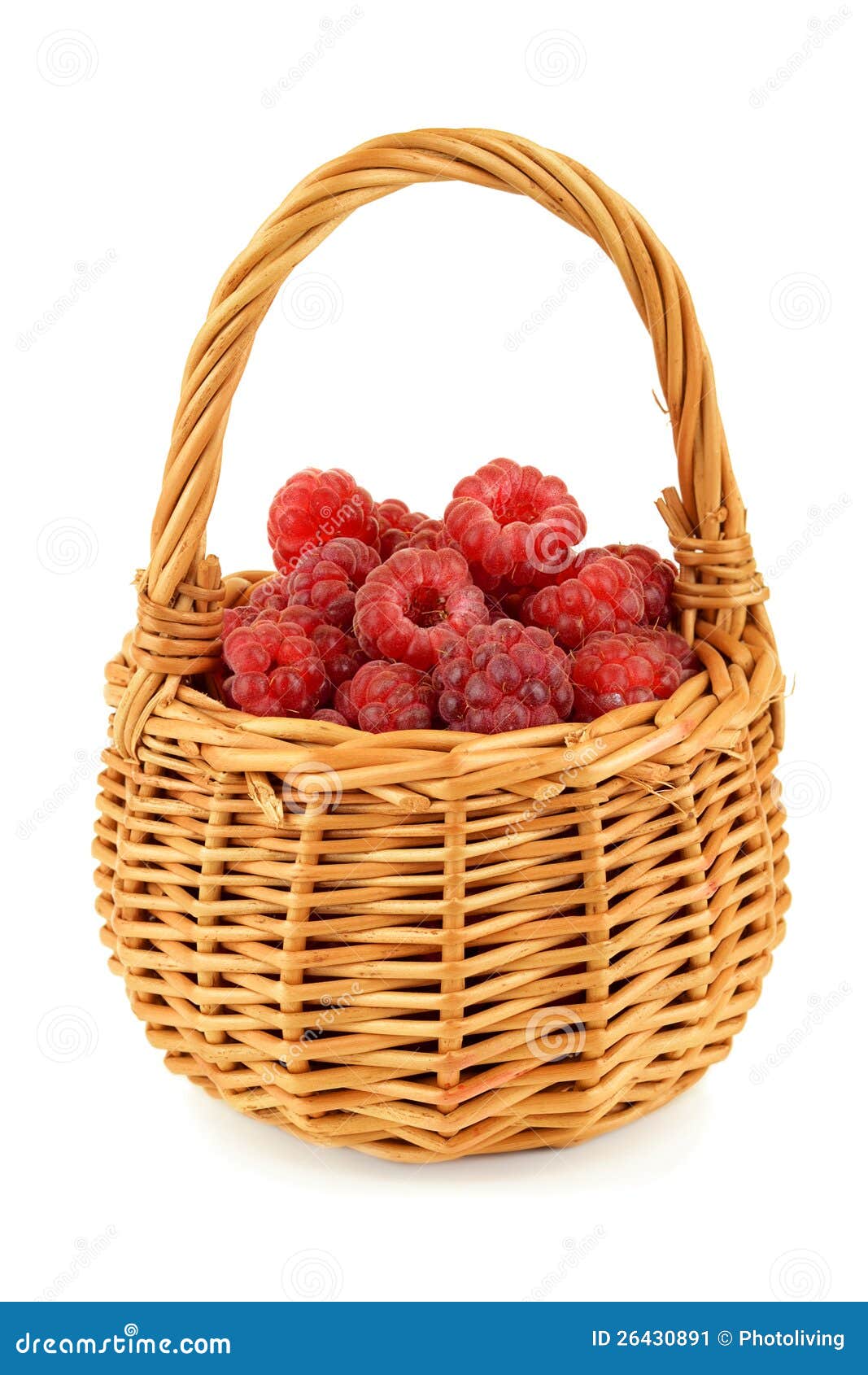 Basket full of raspberries stock image. Image of isolated 26430891