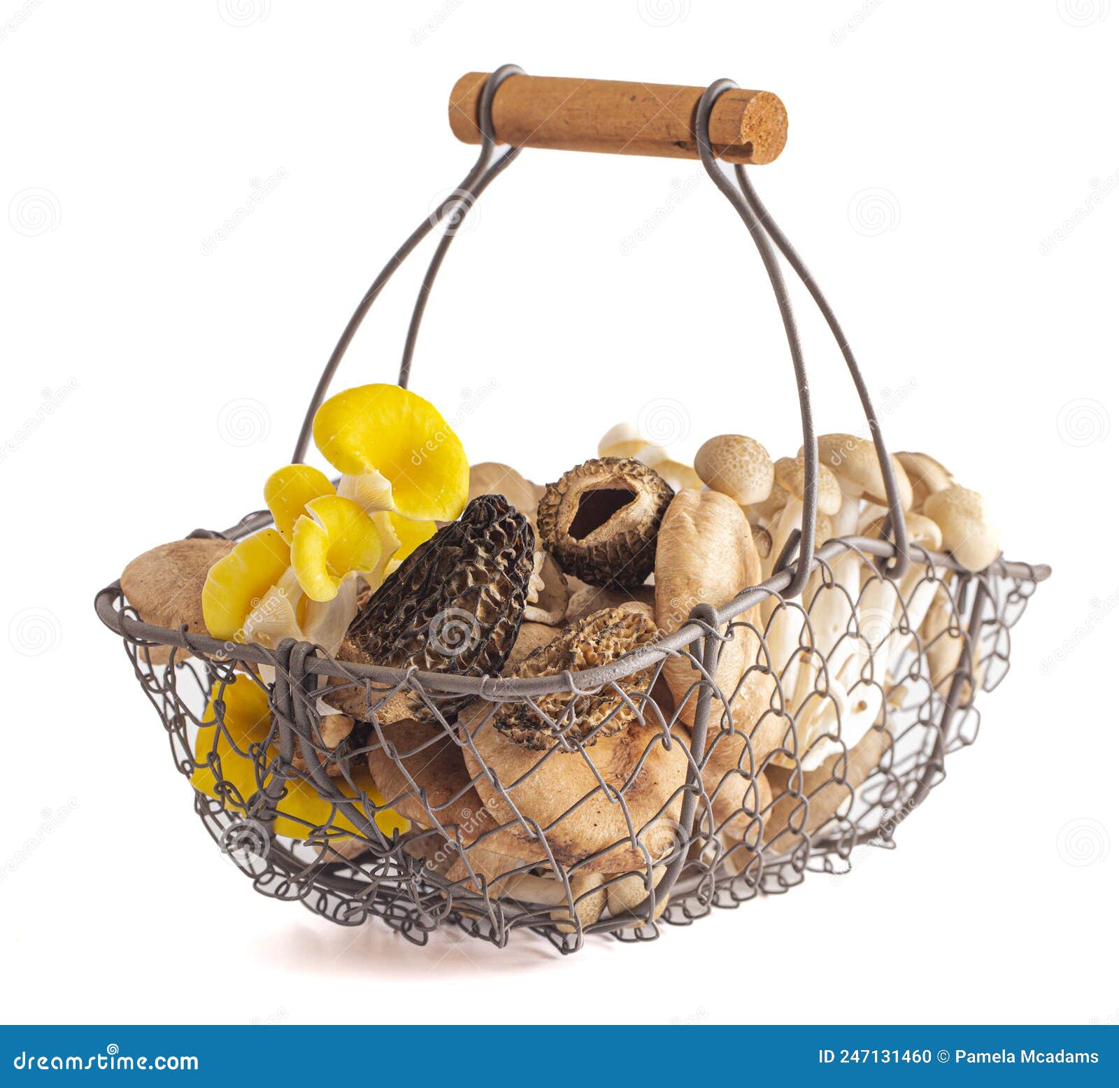 basket full of a variet of different fresh mushrooms on a white background