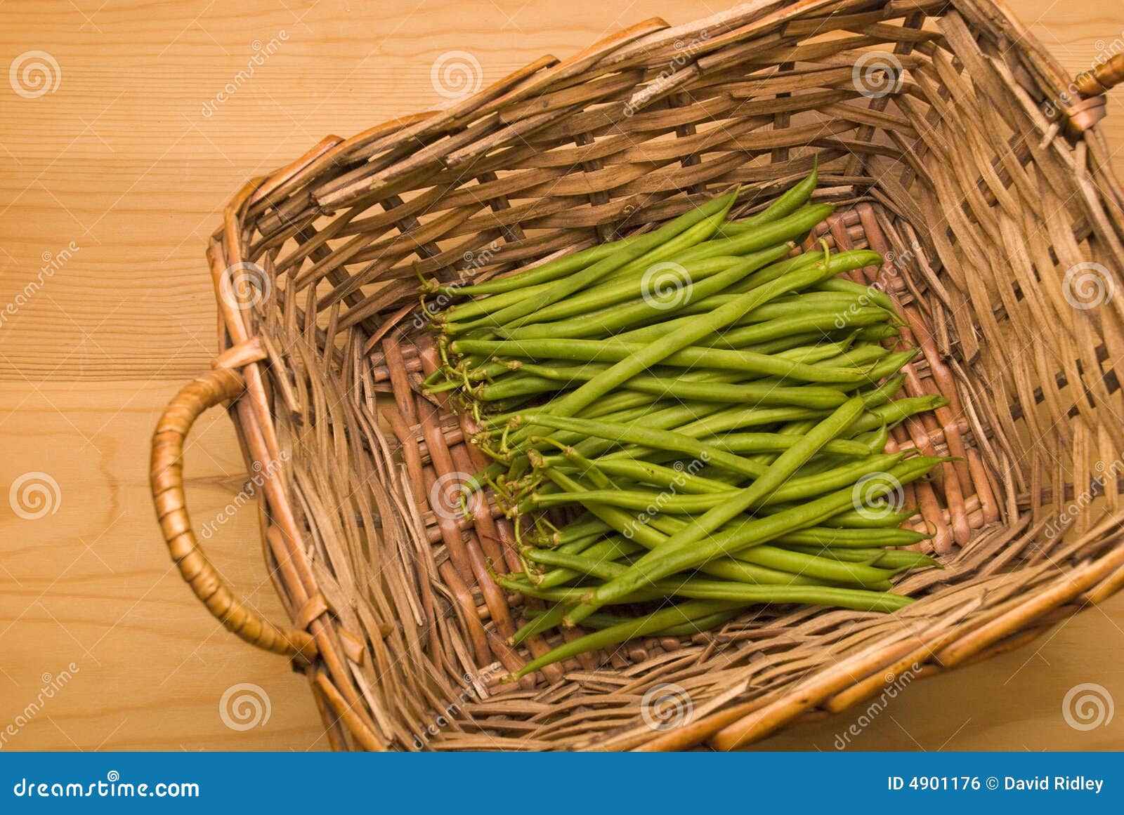 Basket Of Green Bobby Beans Picture. Image 4901176