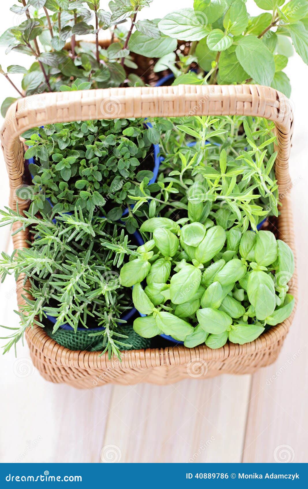 Basket of herbs stock photo. Image of herb, natural, spice 40889786