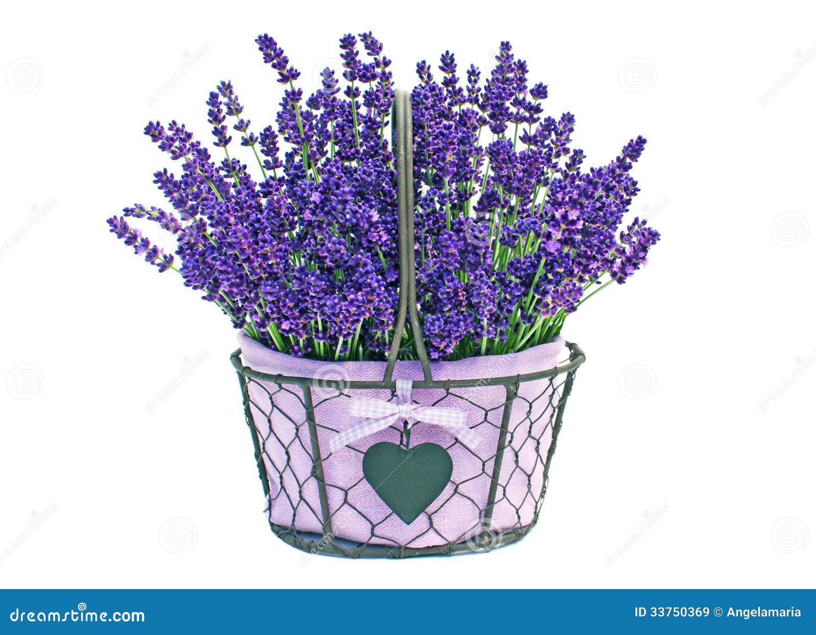 Basket of lavender flowers stock image. Image of blossom ...