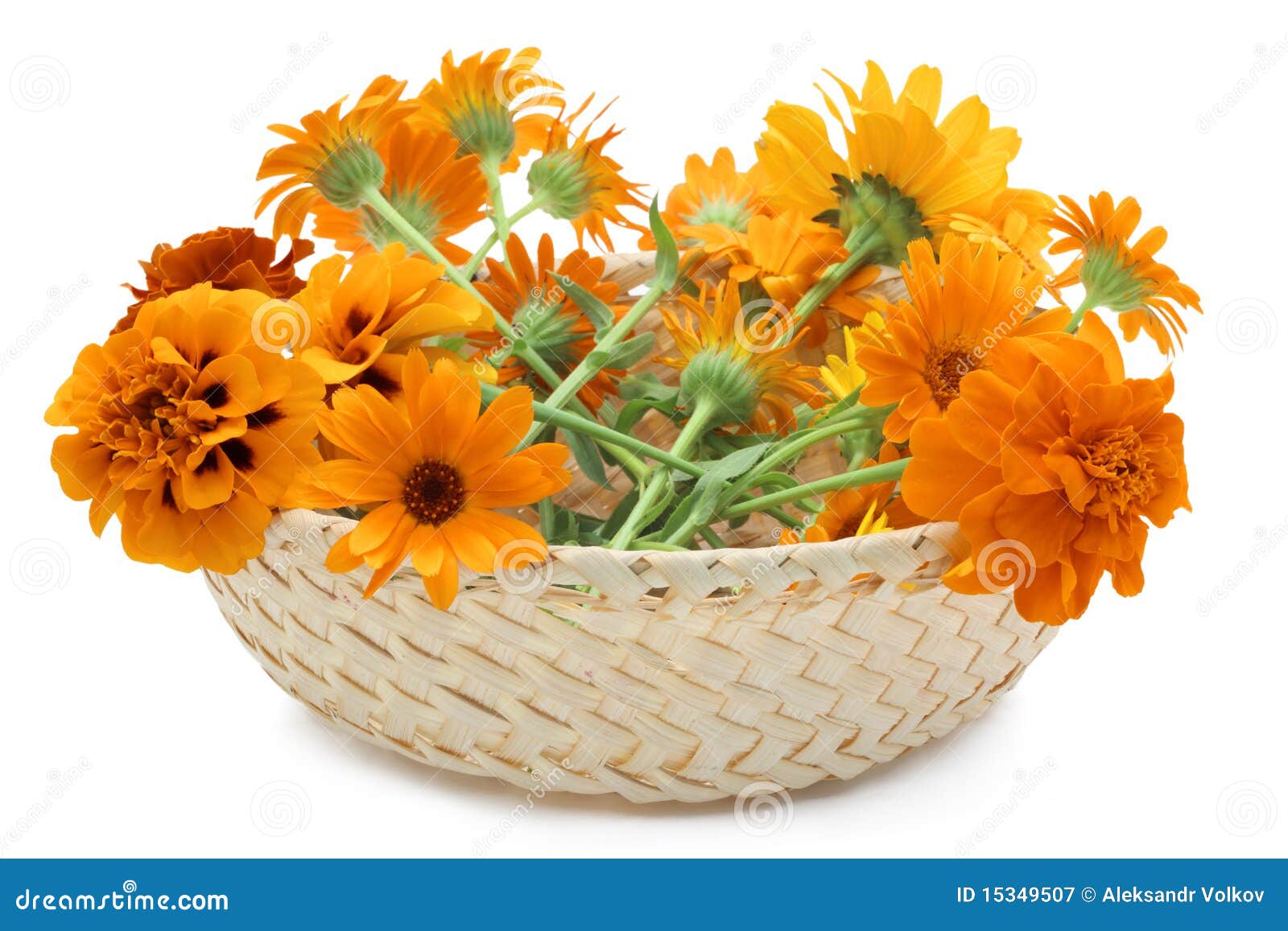 Basket with orange flowers stock image. Image of nature 15349507