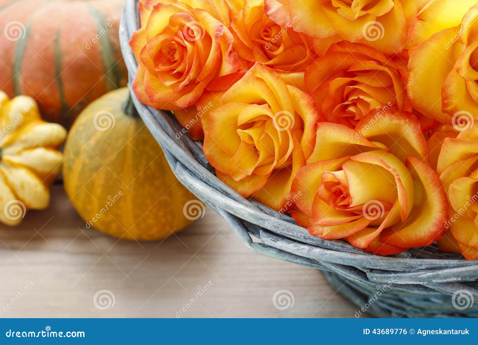 Basket of orange roses stock photo. Image of anniversary 43689776