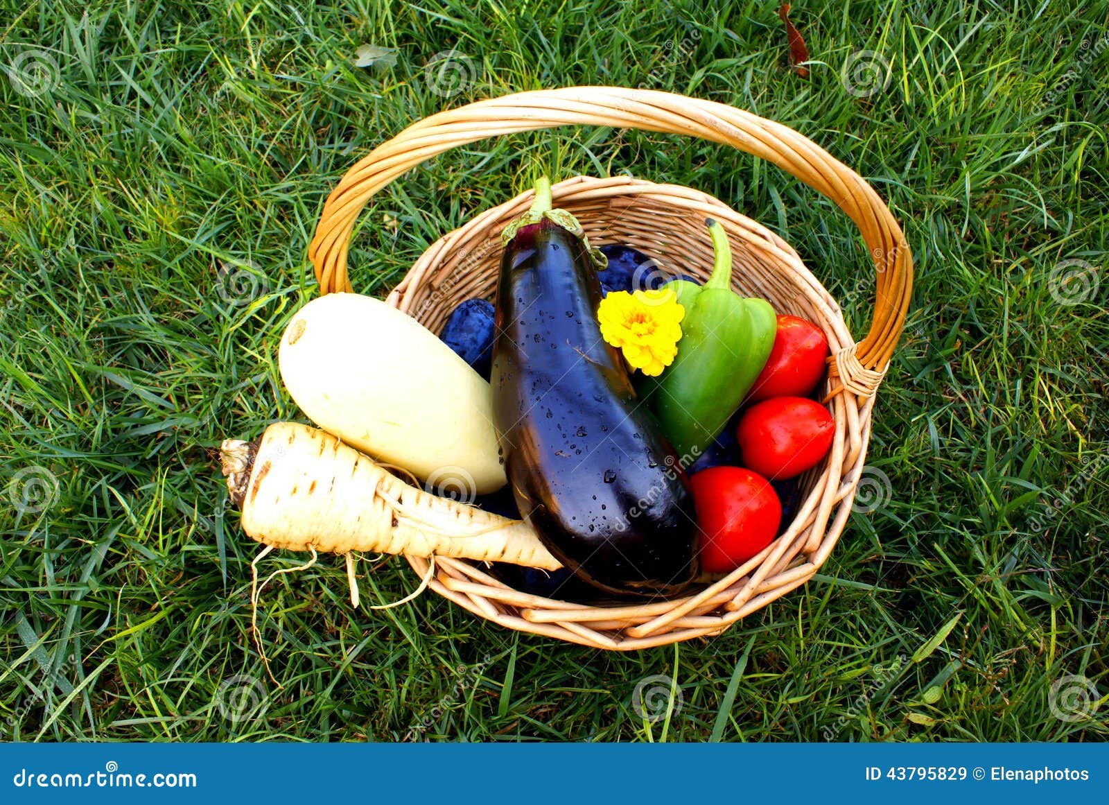 Basket with Organic Vegetables and Fruits Stock Image Image of health