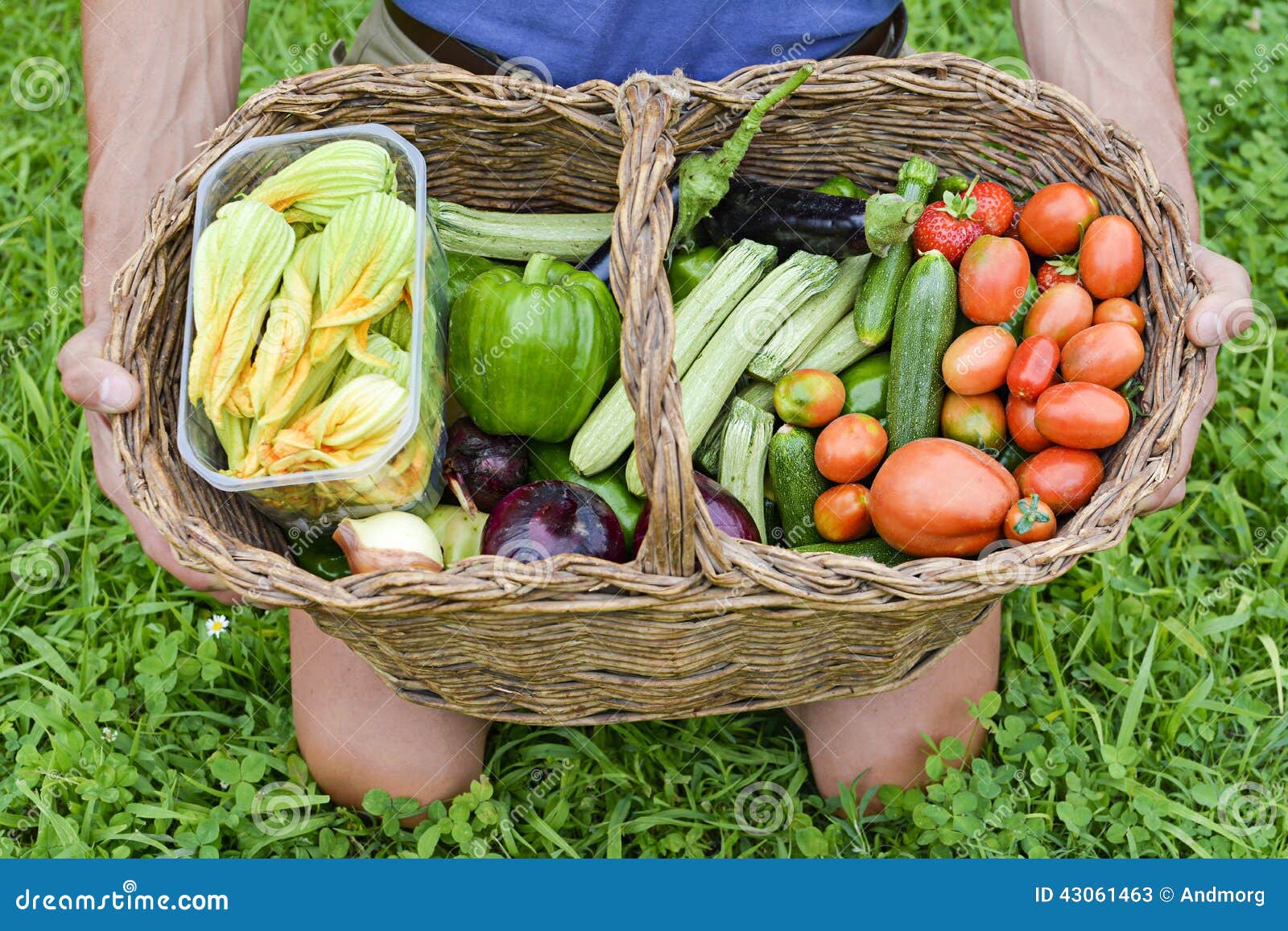 Basket of Organic Vegetables Stock Image Image of countryman