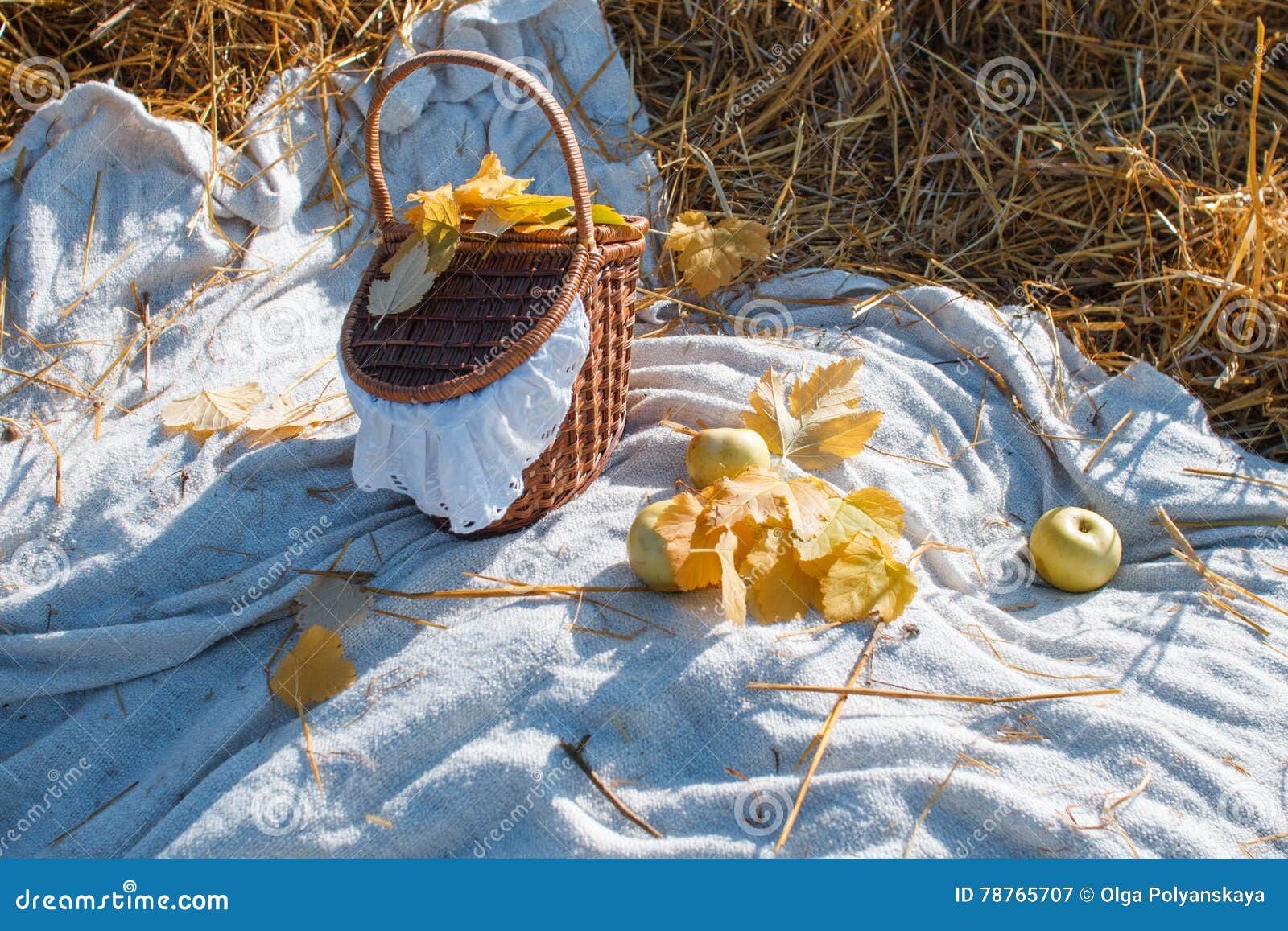 Basket with Red Apples Costs on the Hay Stock Image Image of life