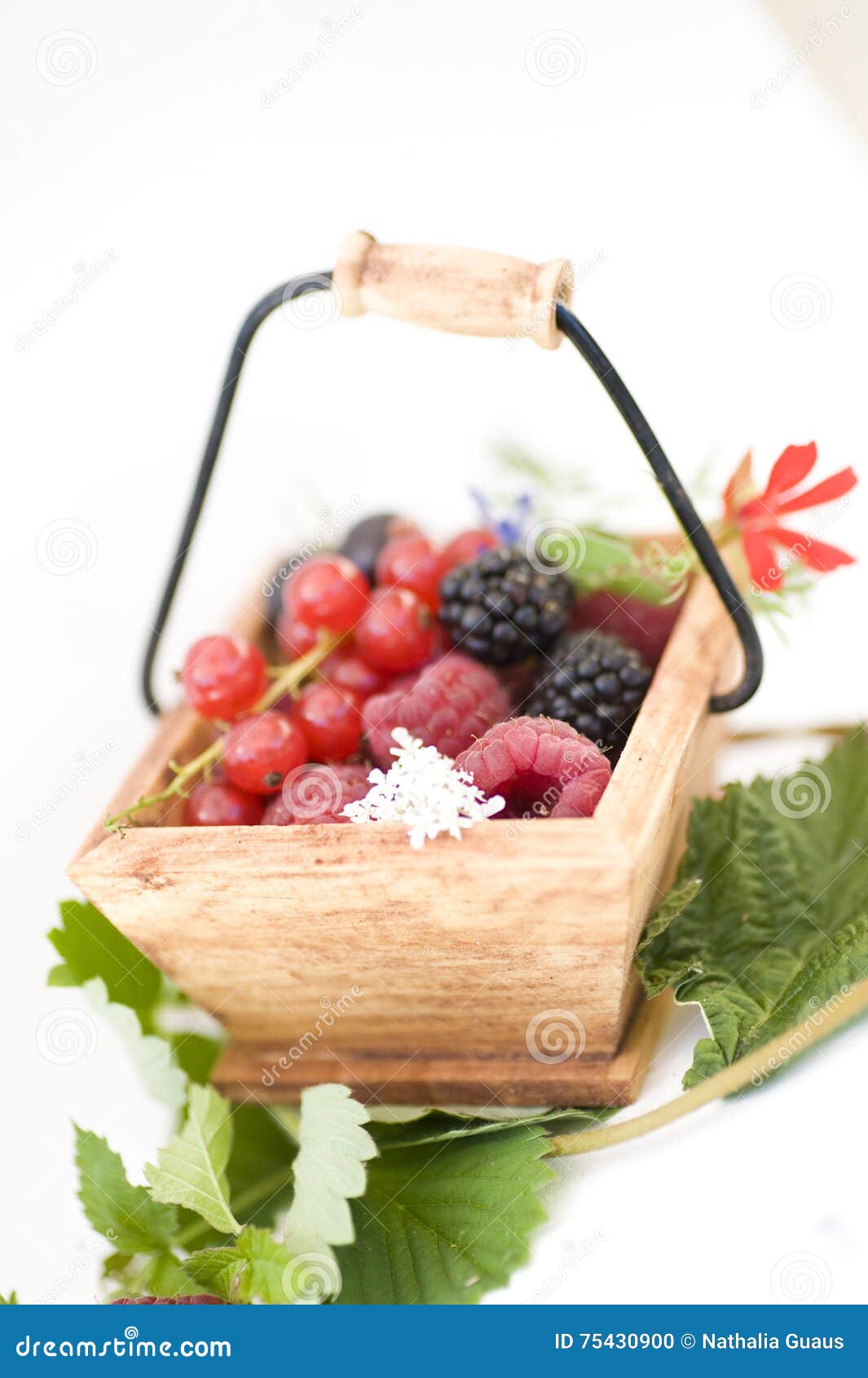 Basket of red fruits stock photo. Image of raspberries 75430900