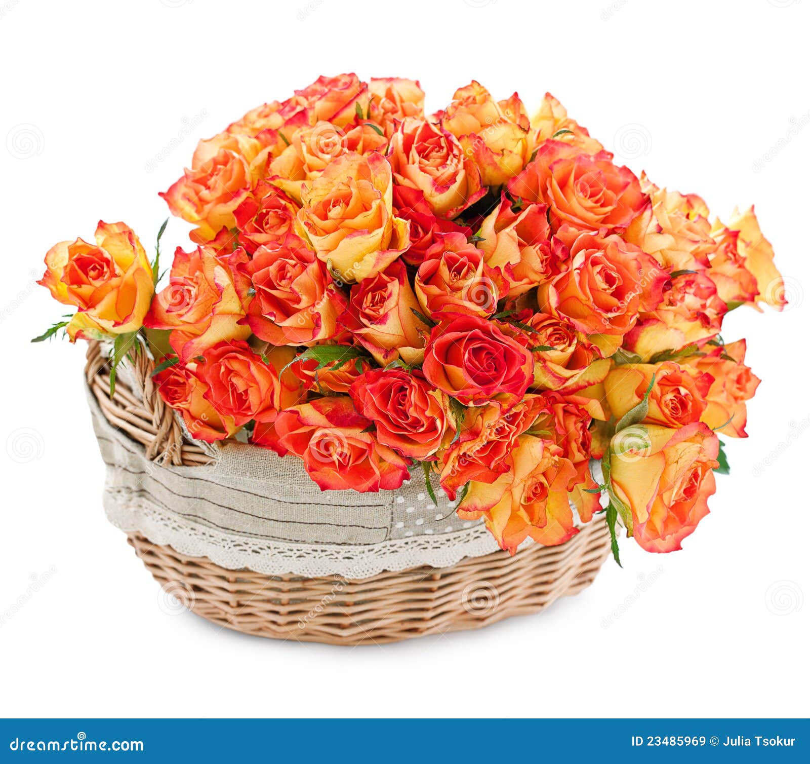 Basket of roses stock image. Image of bunch, arrangement 23485969