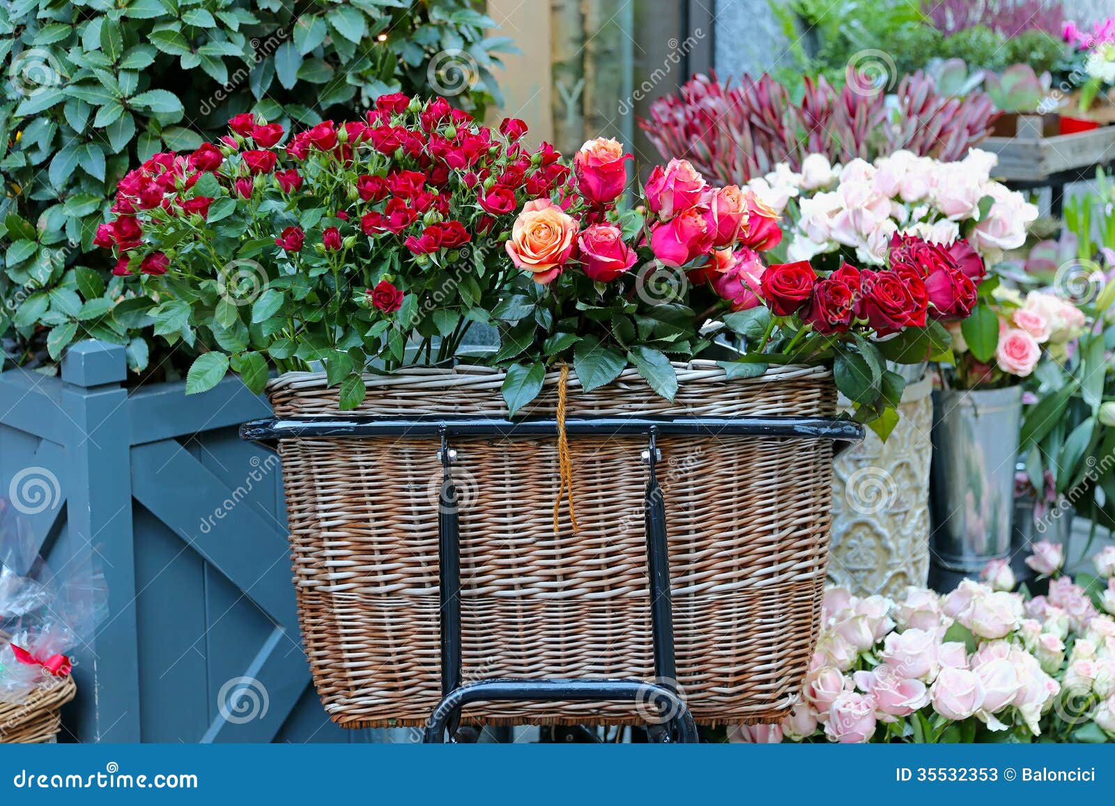 Basket of Roses stock image. Image of beauty, flower 35532353