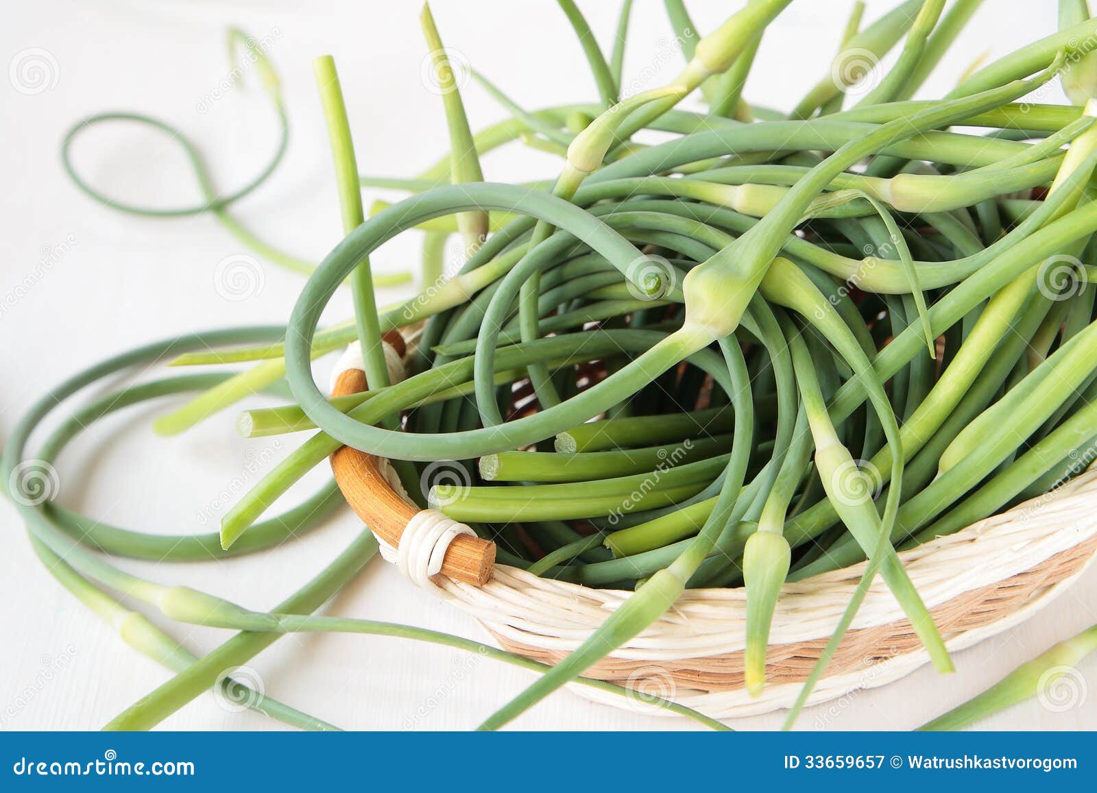 Basket with Stems of Garlic Stock Image Image of ingredient, green