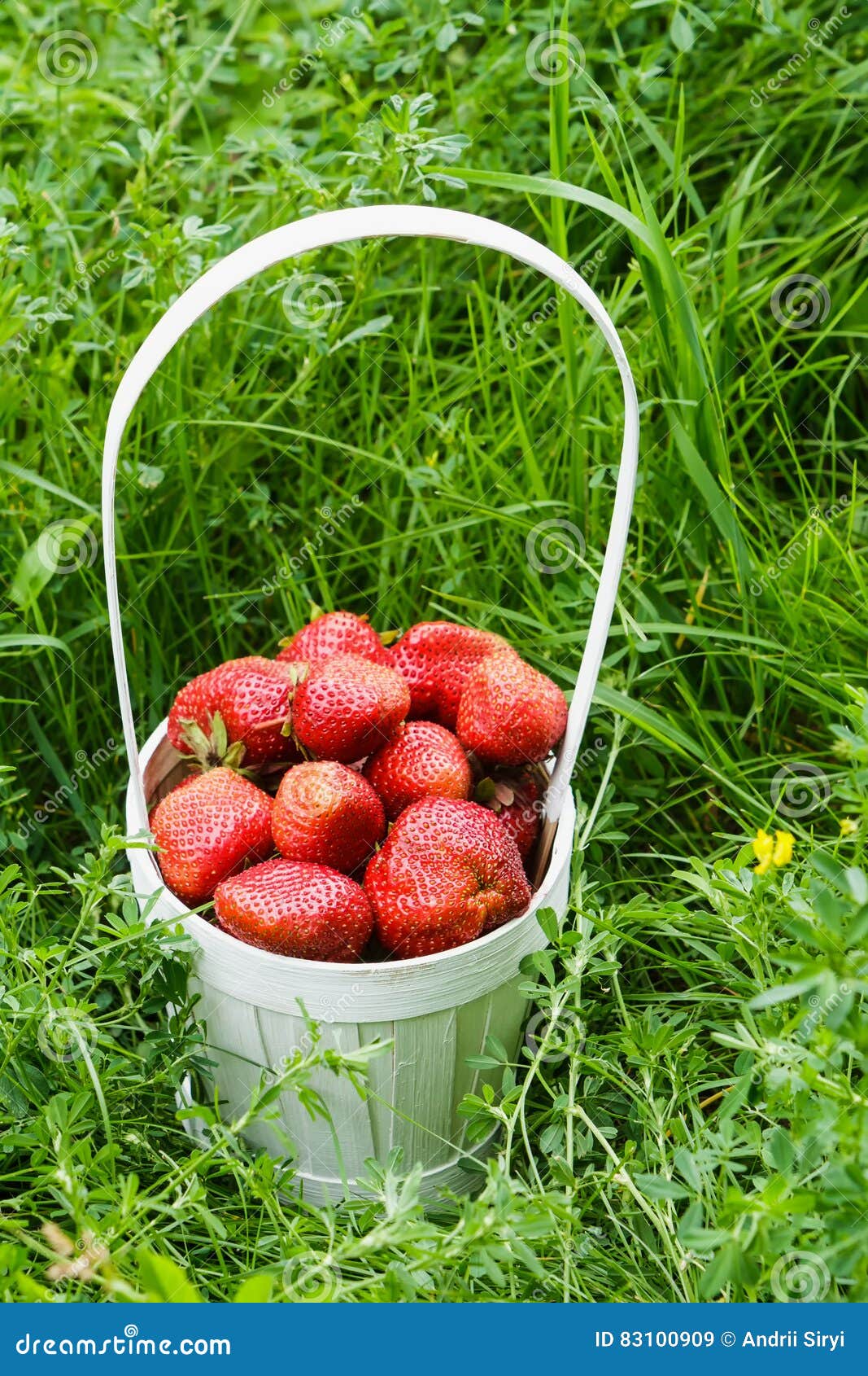 Basket with Strawberries in the Grass. Stock Image Image of meal
