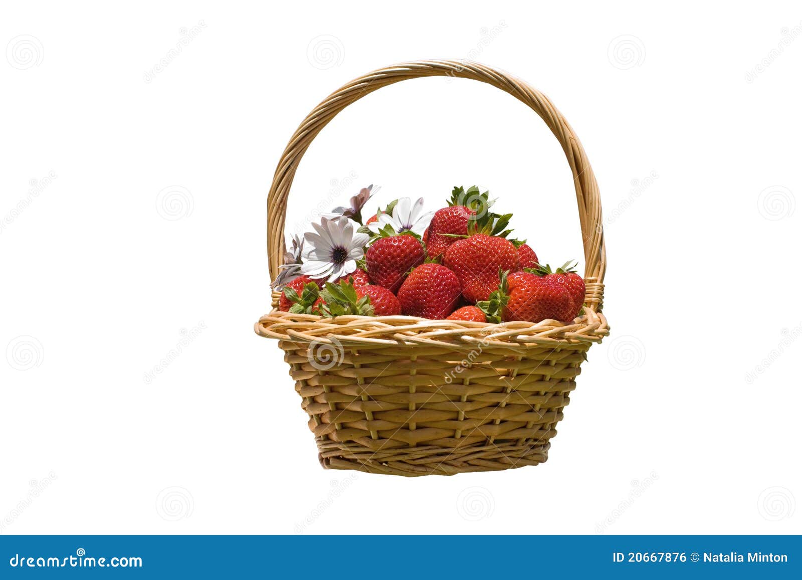 Basket with Strawberries Isolated Stock Photo Image of flowers, fresh