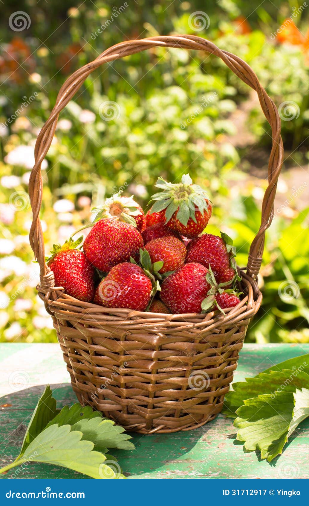 Basket of strawberries stock image. Image of outdoors 31712917