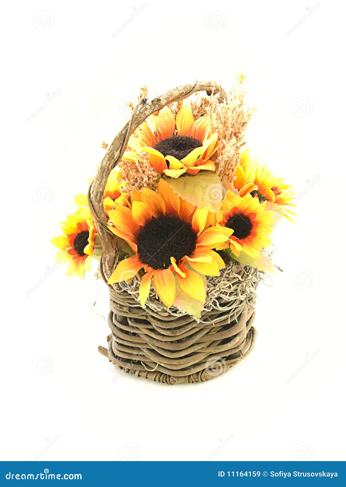 Basket of sunflowers stock image. Image of basket, petal 11164159