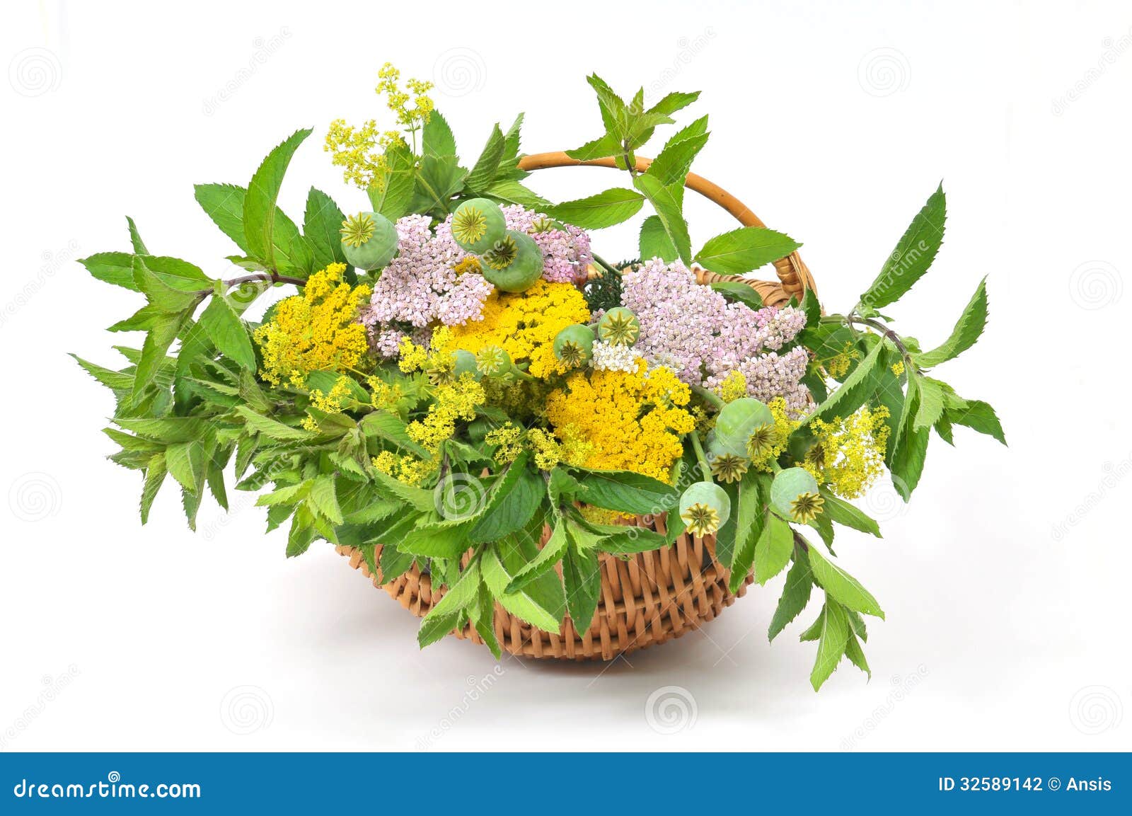 Basket with tea plants stock photo. Image of care, aromatic 32589142