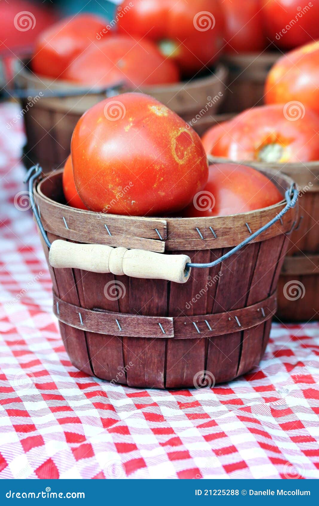 Basket of Tomatoes stock photo. Image of market, fruit 21225288