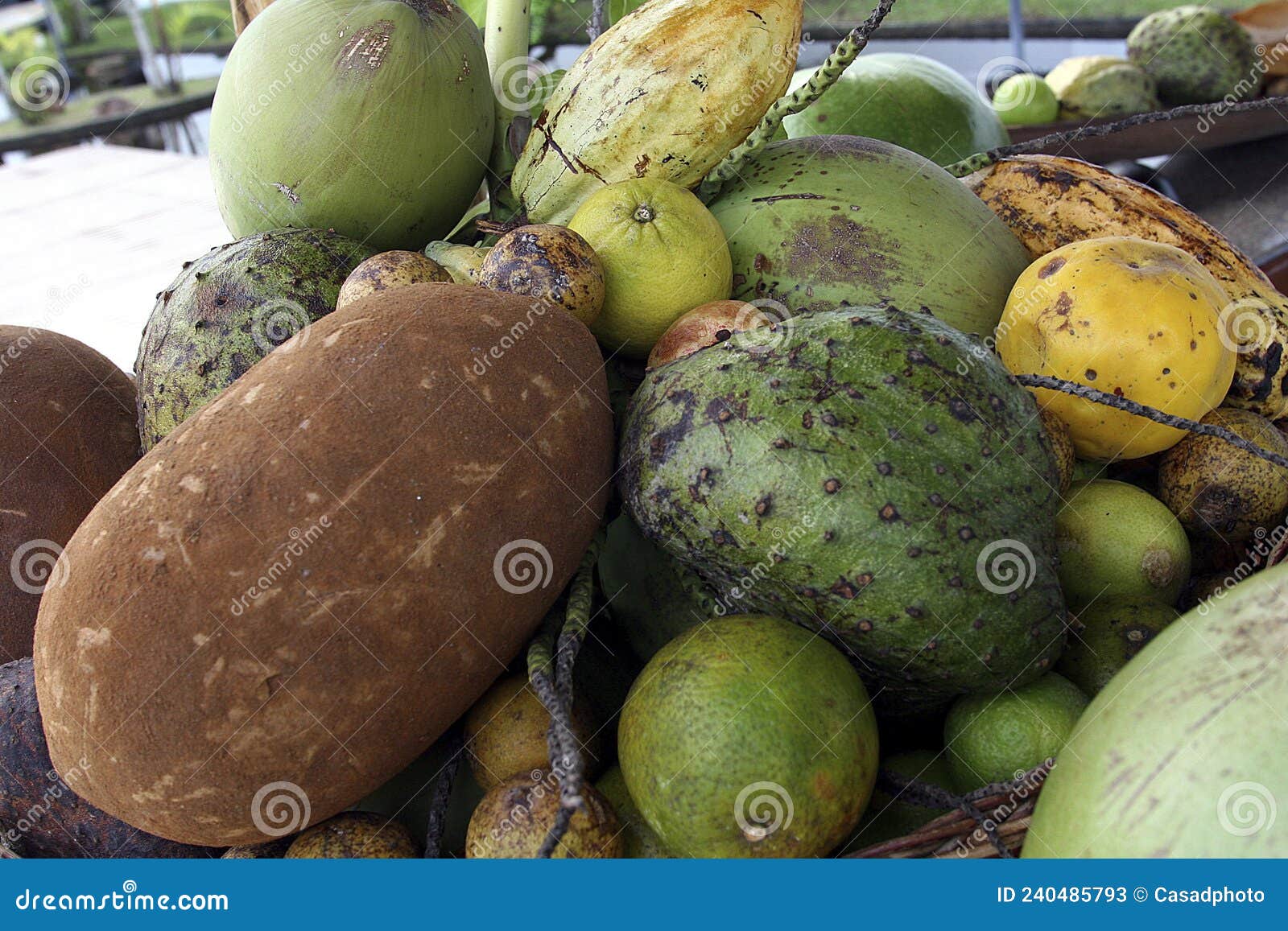 Fruits Basket Brazil
