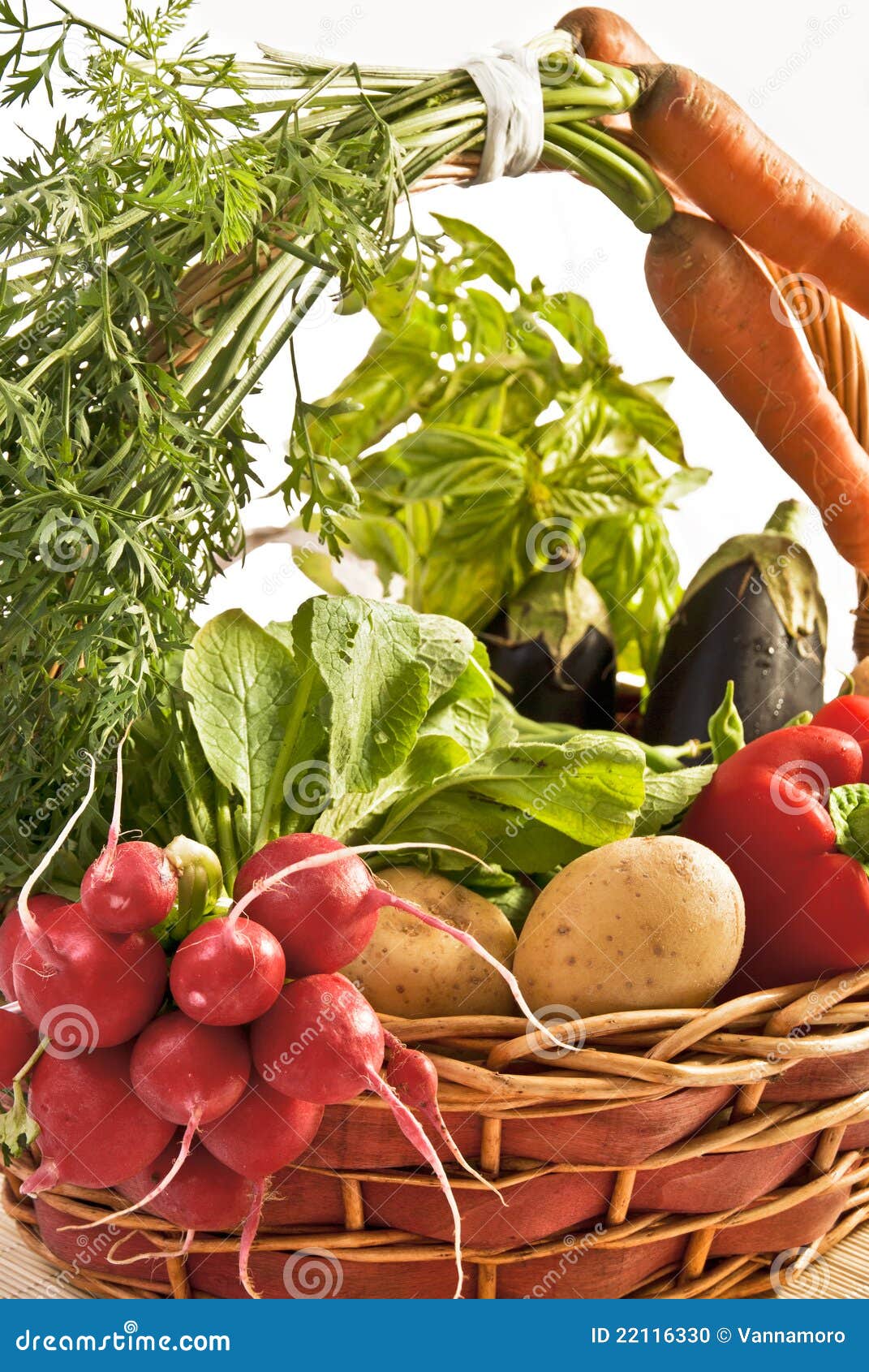 Basket of vegetables stock photo. Image of cooking, garden 22116330
