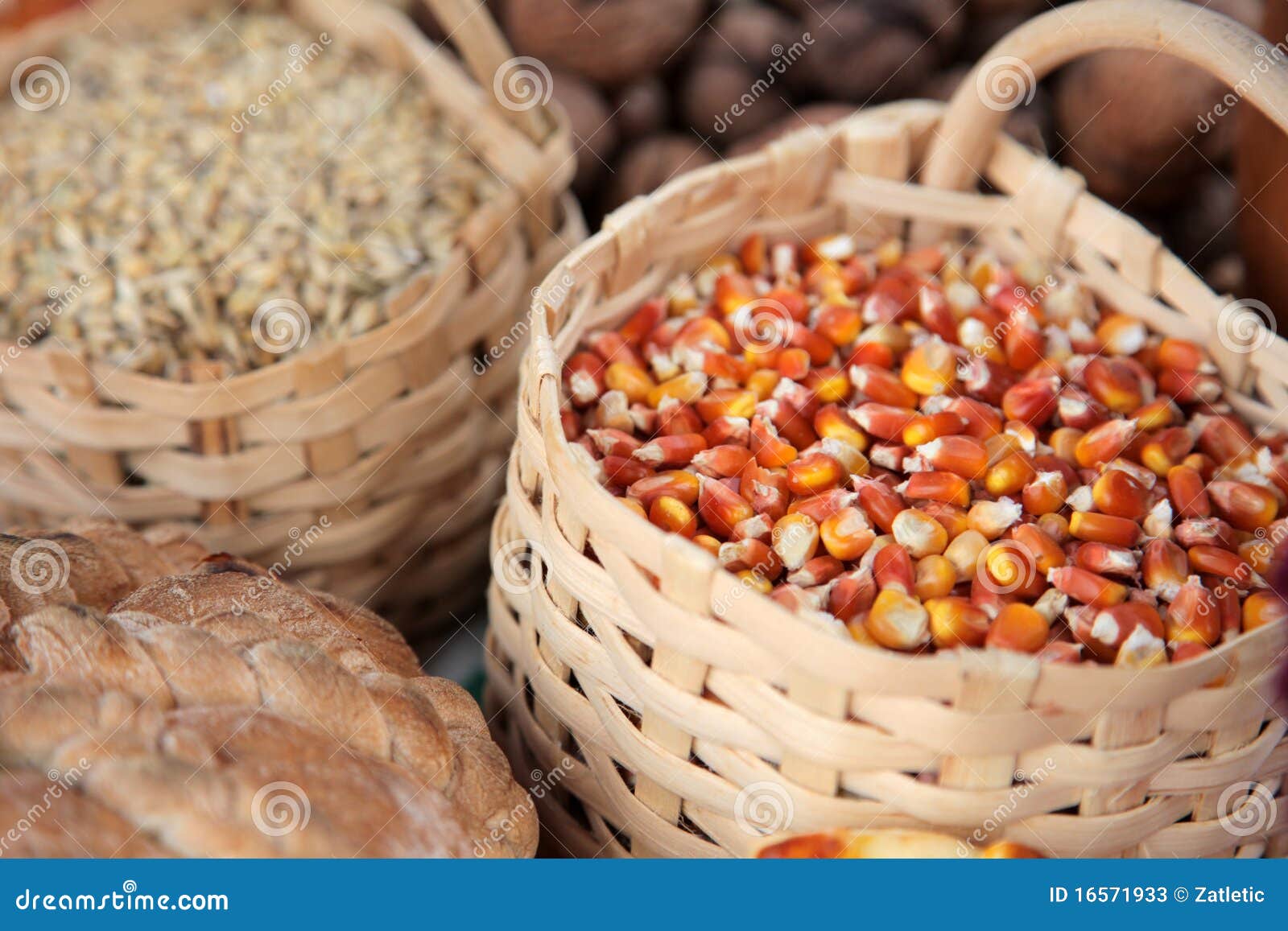 Basket with Wheat and Maize Stock Image Image of cook, harvest 16571933