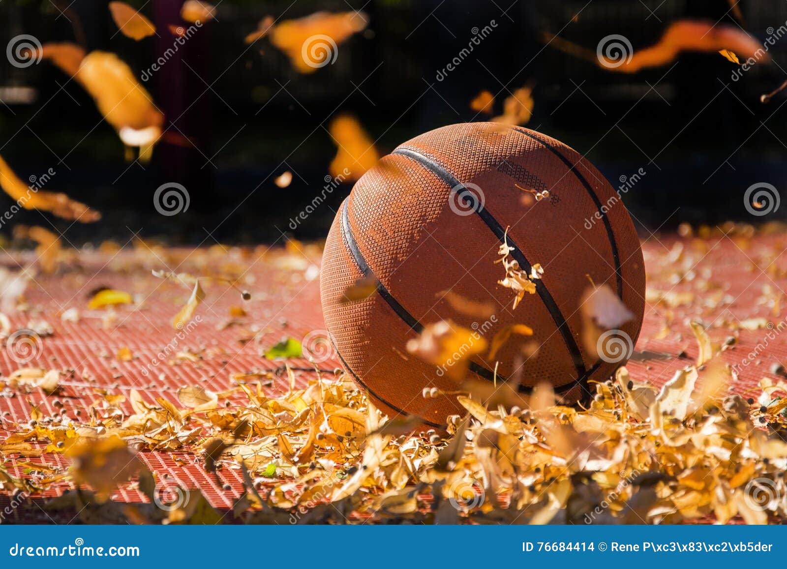 Basketball in autumn stock photo. Image of court, ball 76684414