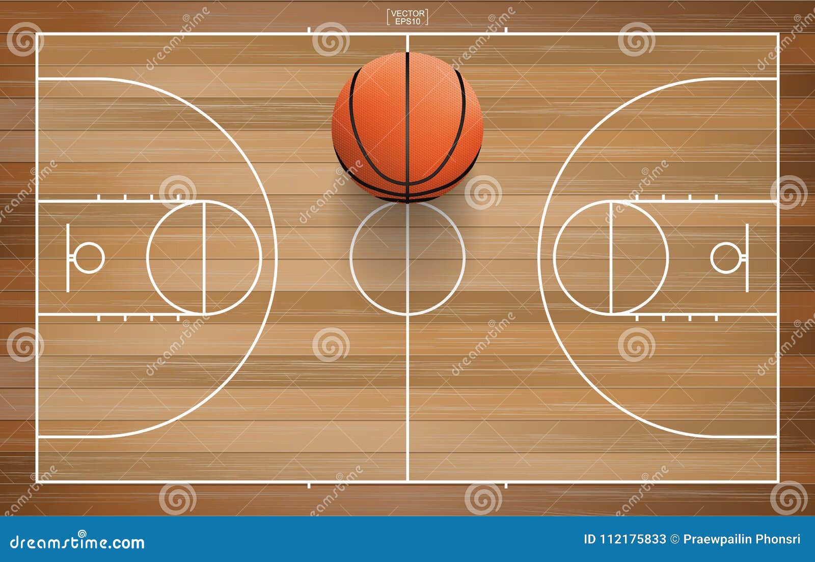 Basketball court top view template sports ground Vector Image