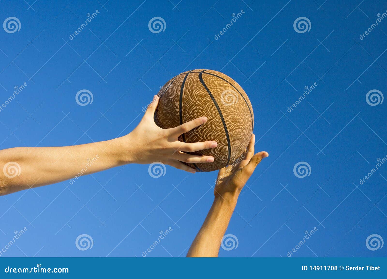244 Basketball Fake Photos Free & RoyaltyFree Stock Photos from Dreamstime