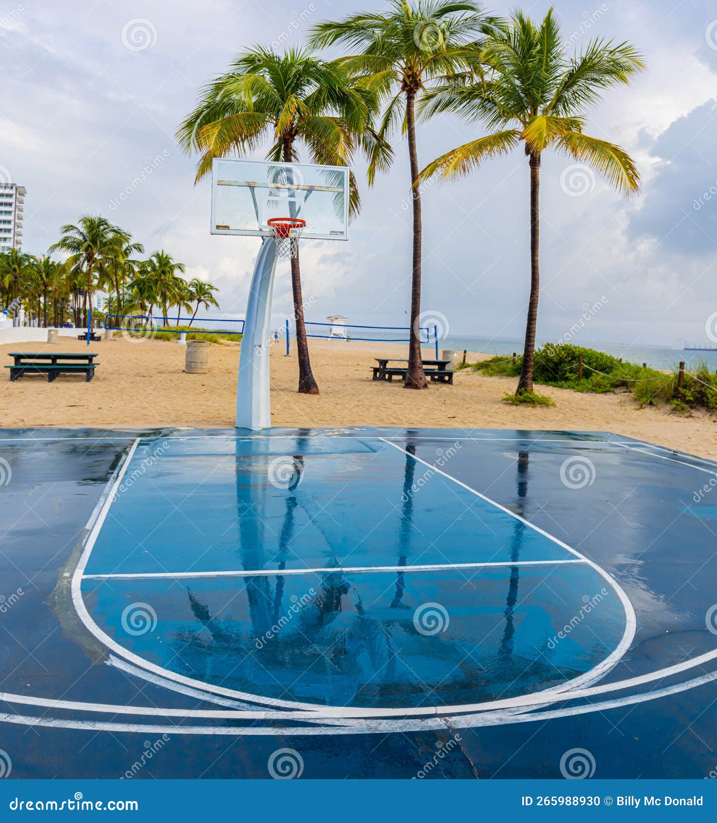 Basketball Court and Palm Tree Stock Photo Image of holiday Basketball Court and Palm Tree Stock Photo Image of holiday