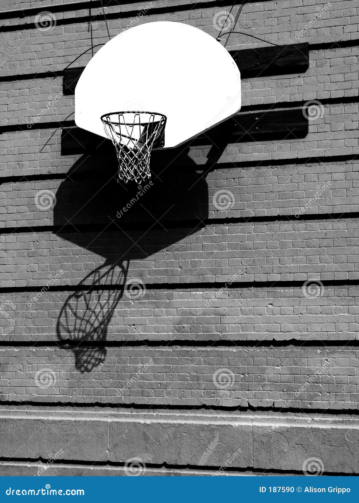 Basketball Dreams stock photo. Image of urban, varsity 187590