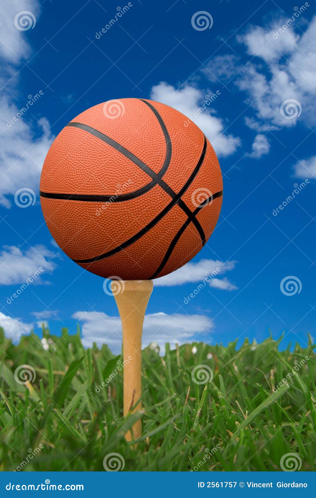 Basketball on golf tee stock image. Image of grass, outdoor 2561757