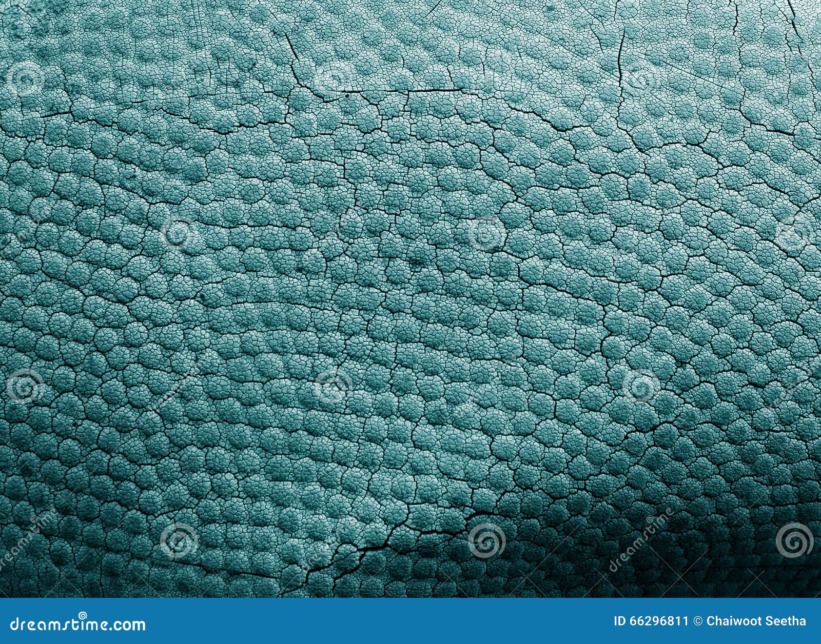 Basketball Leather Texture Background Stock Image Image of close