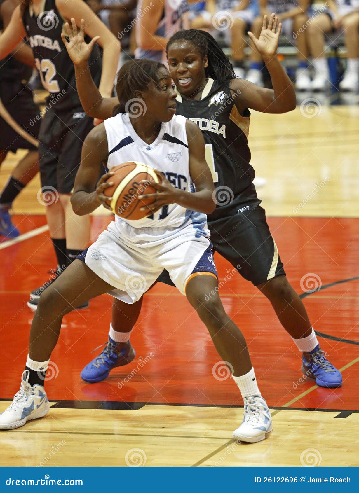 Basketball Quebec Ball Player Editorial Photo Image of athlete, ball