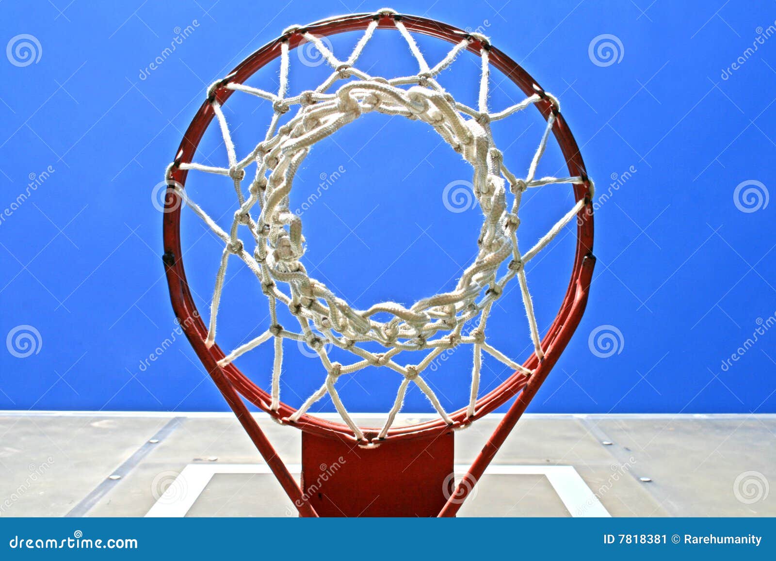 125,636 White Net Stock Photos - Free & Royalty-Free Stock Photos from  Dreamstime