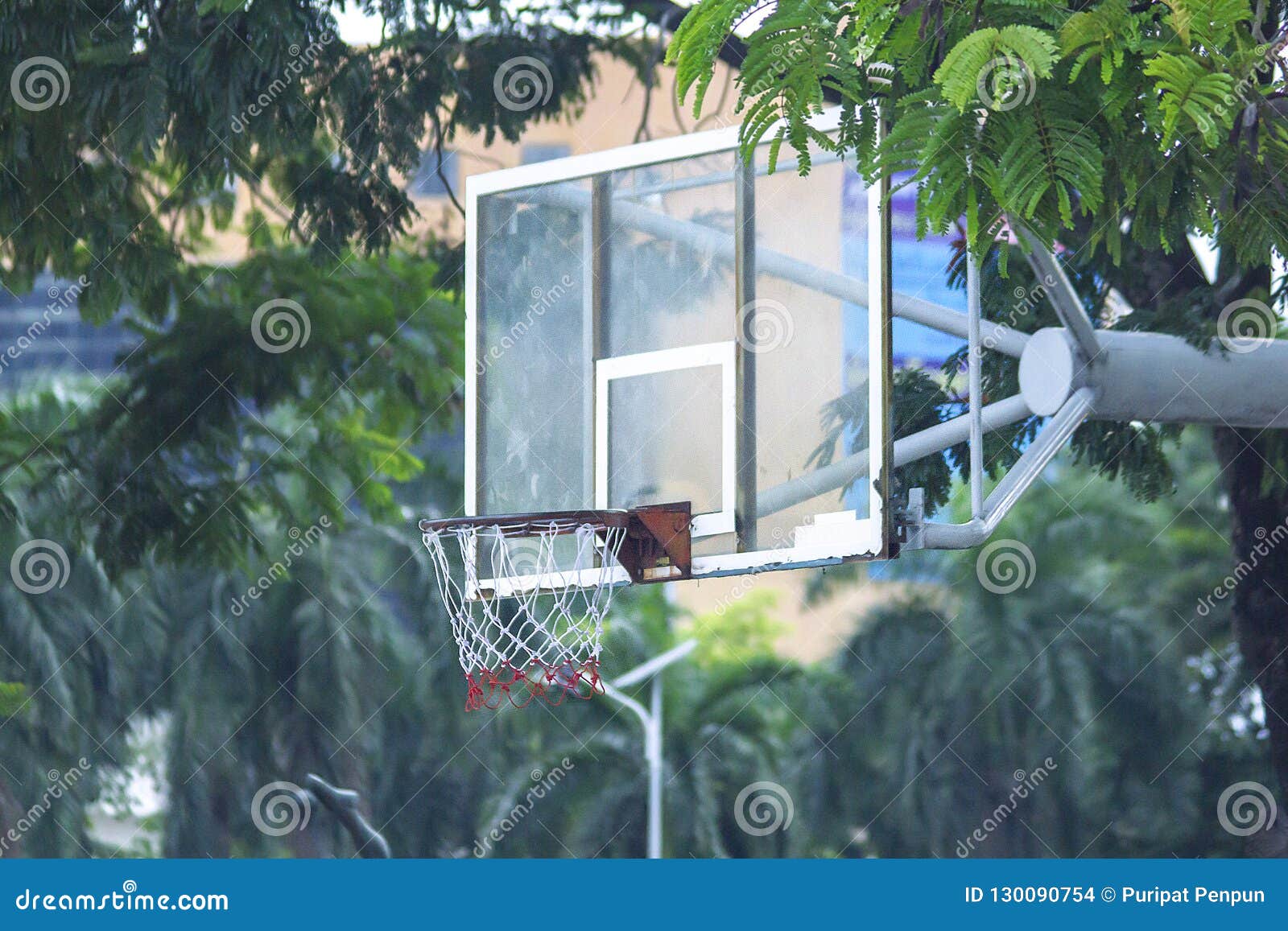 Basketball Hoop Near the Tree. Stock Photo Image of basket, metal 130090754