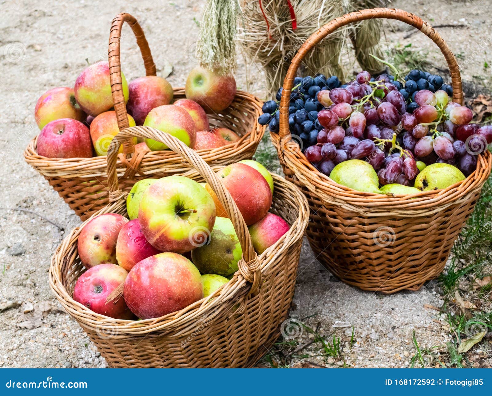 Baskets with Apples, Pears and Grapes. Baskets Fruit Stock Photo Image of close, assorted