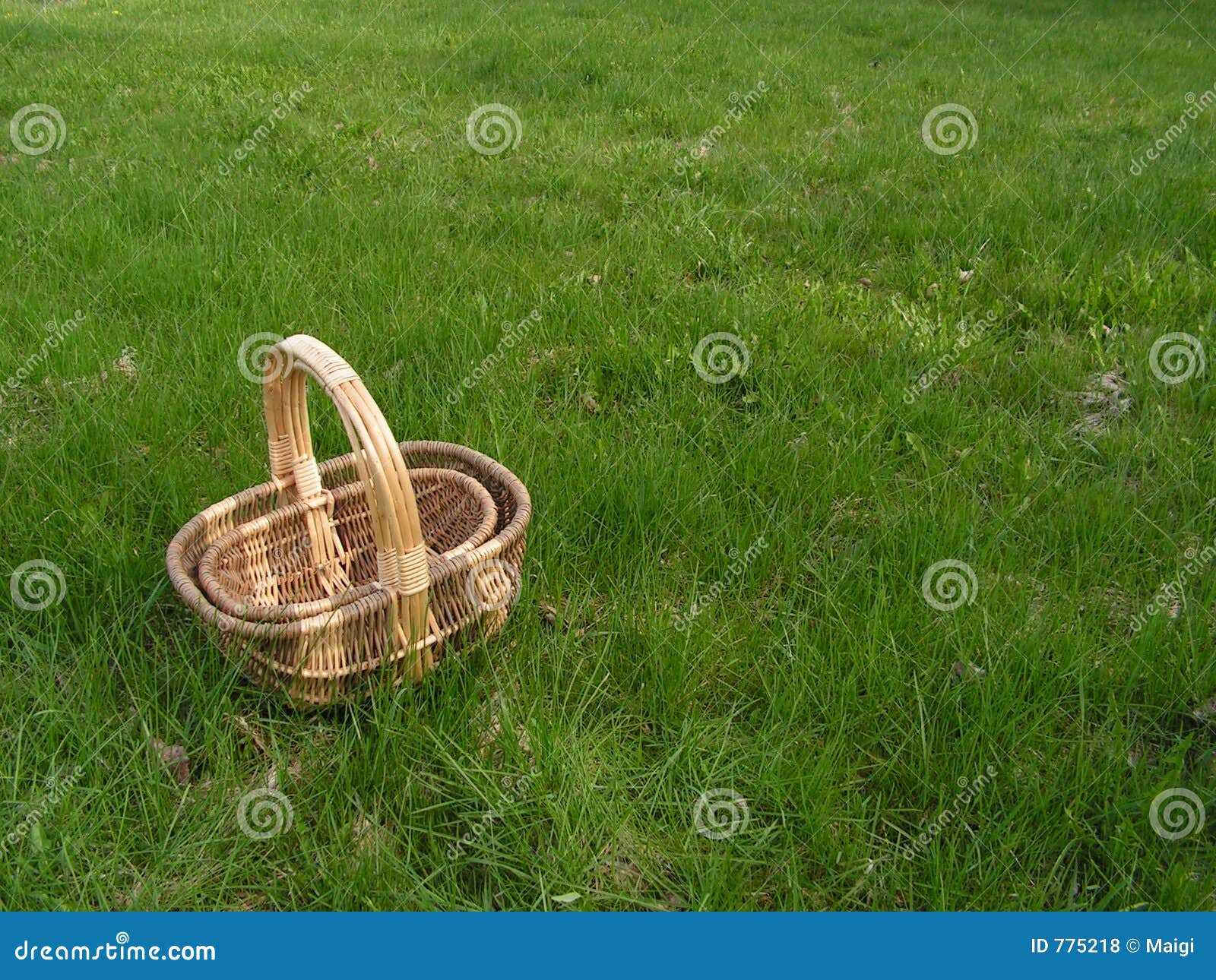 Baskets on the grass stock photo. Image of handle, agriculture 775218