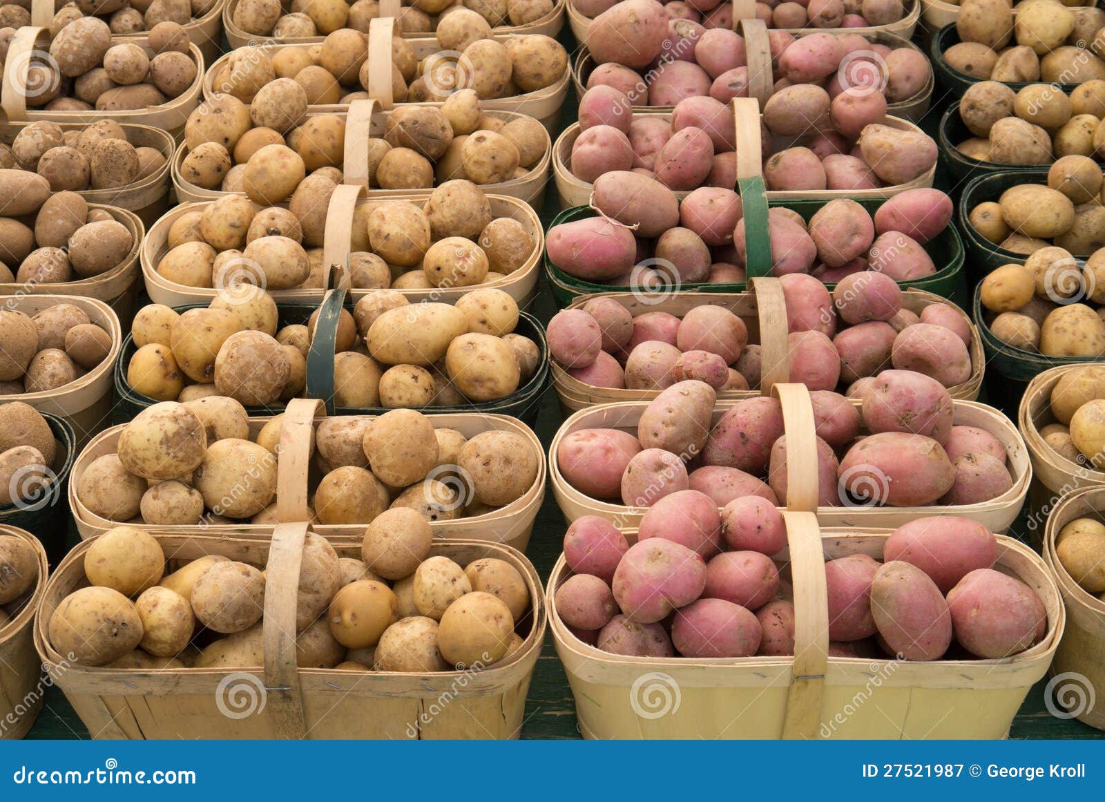 Baskets of potatoes stock image. Image of potatos, organic 27521987