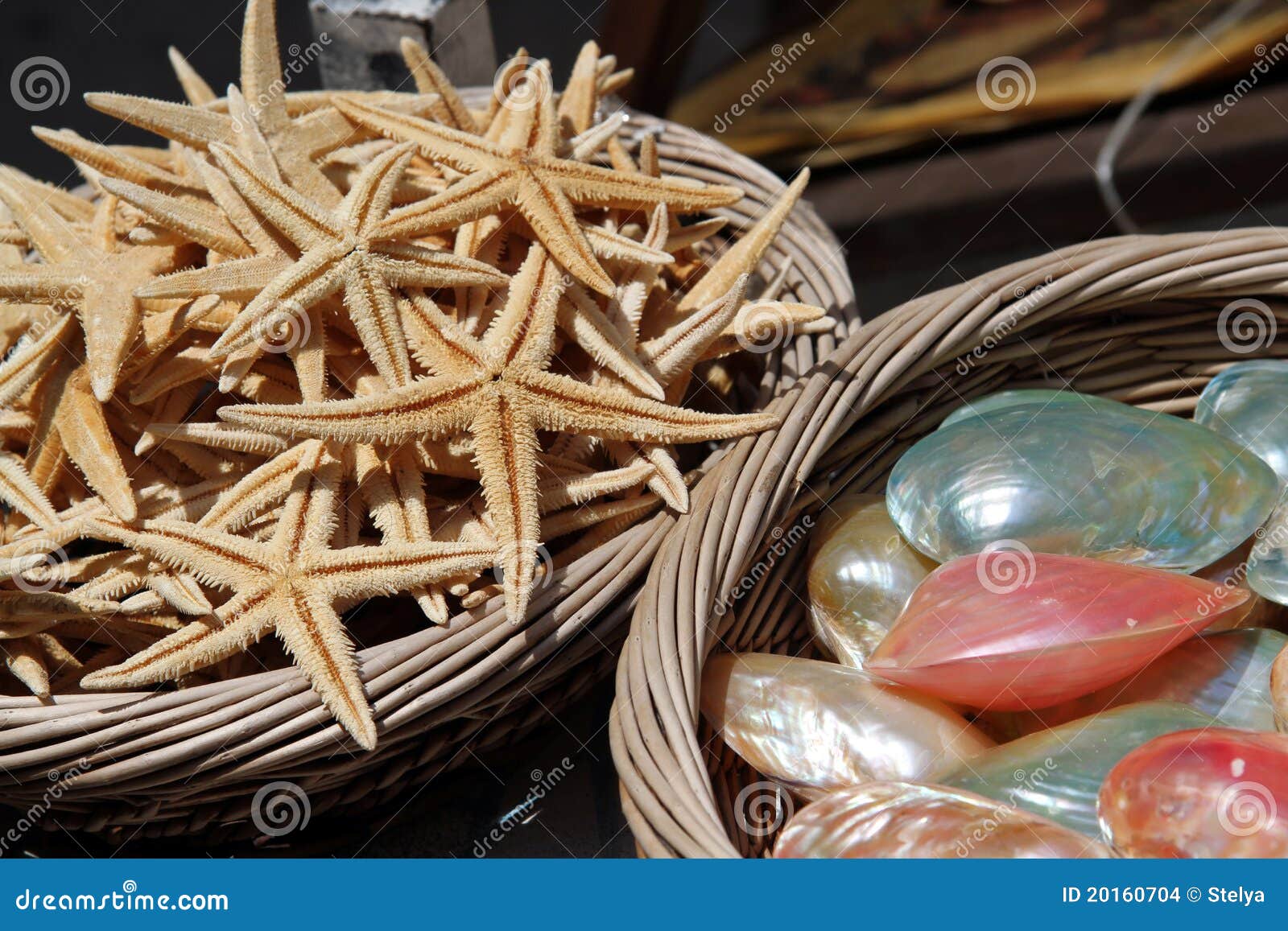 Baskets of Sea Shells and Starfish for Sale Stock Photo Image of sale