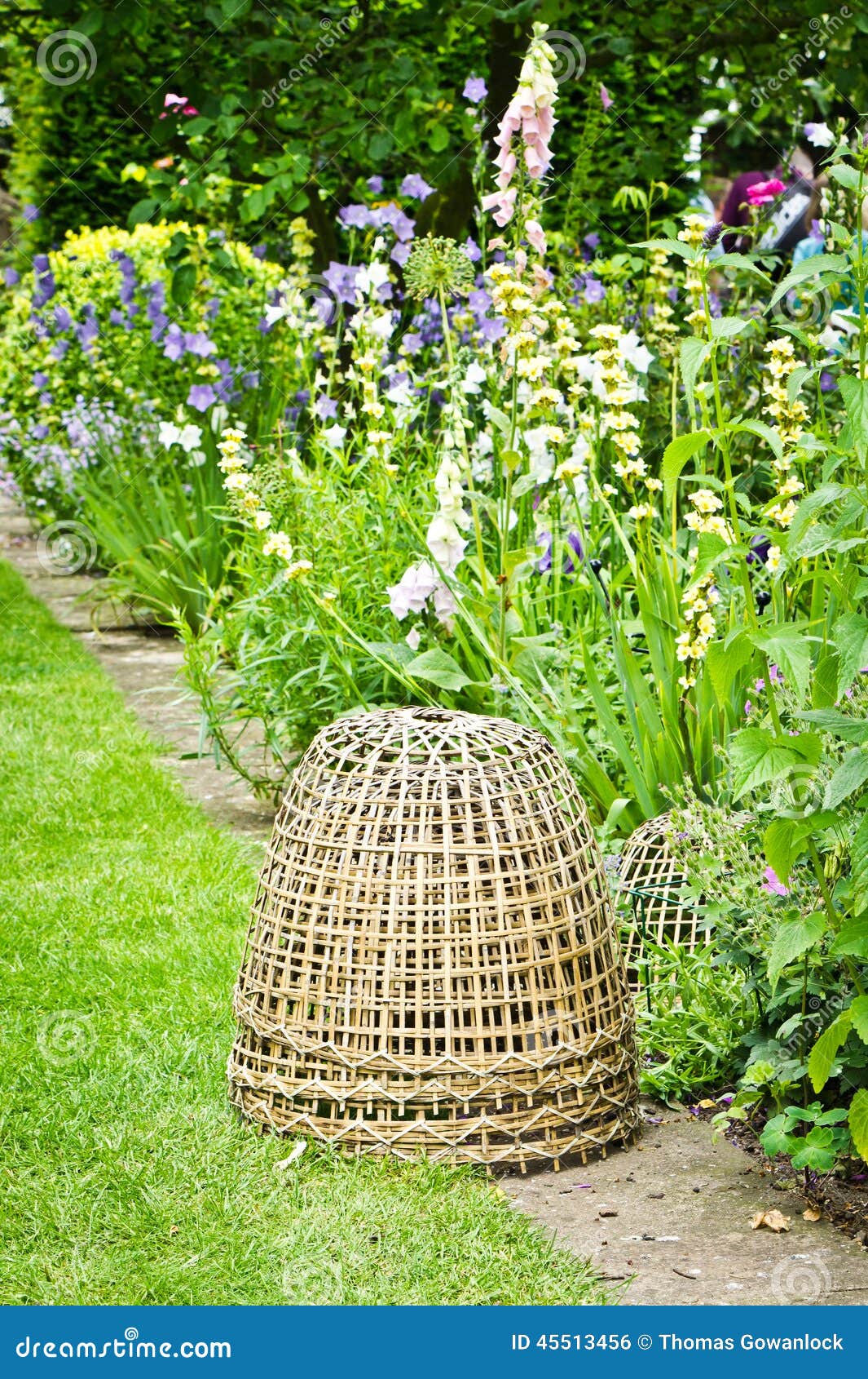 Baskets stock photo. Image of rural, country, basket 45513456