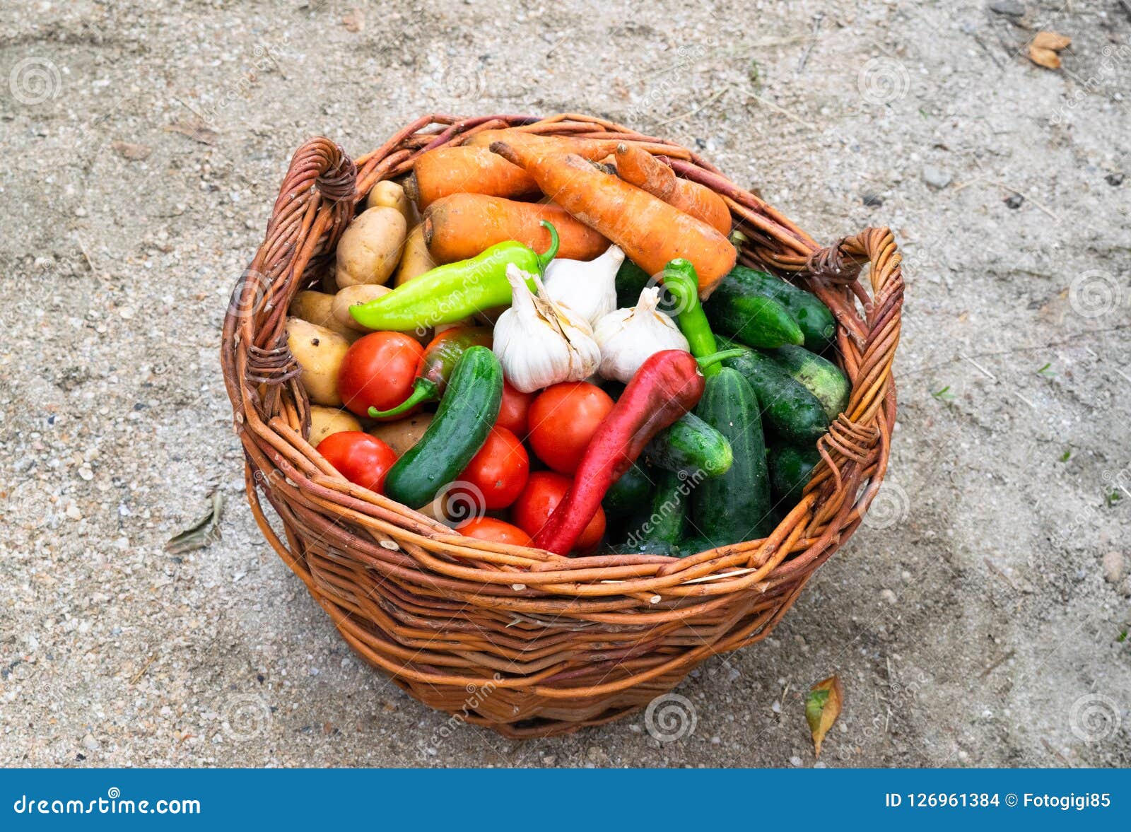 Baskets with Vegetables. Assorted Vegetables. Rural Harvest. Stock